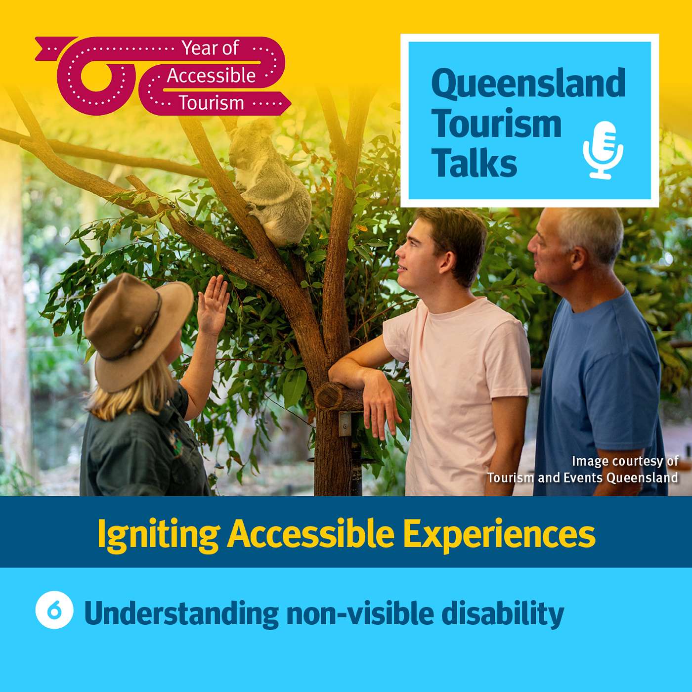 Understanding non-visible disability