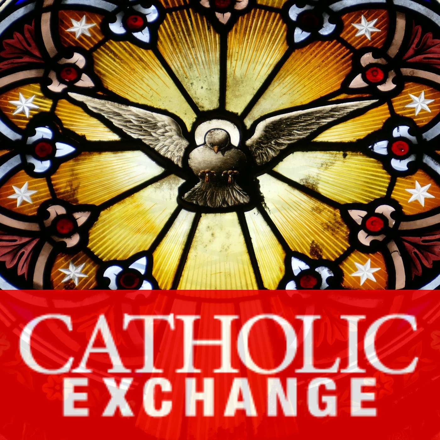 The Holy Spirit Draws Us Close | Sr. Mary Ann Fatula, O.P.