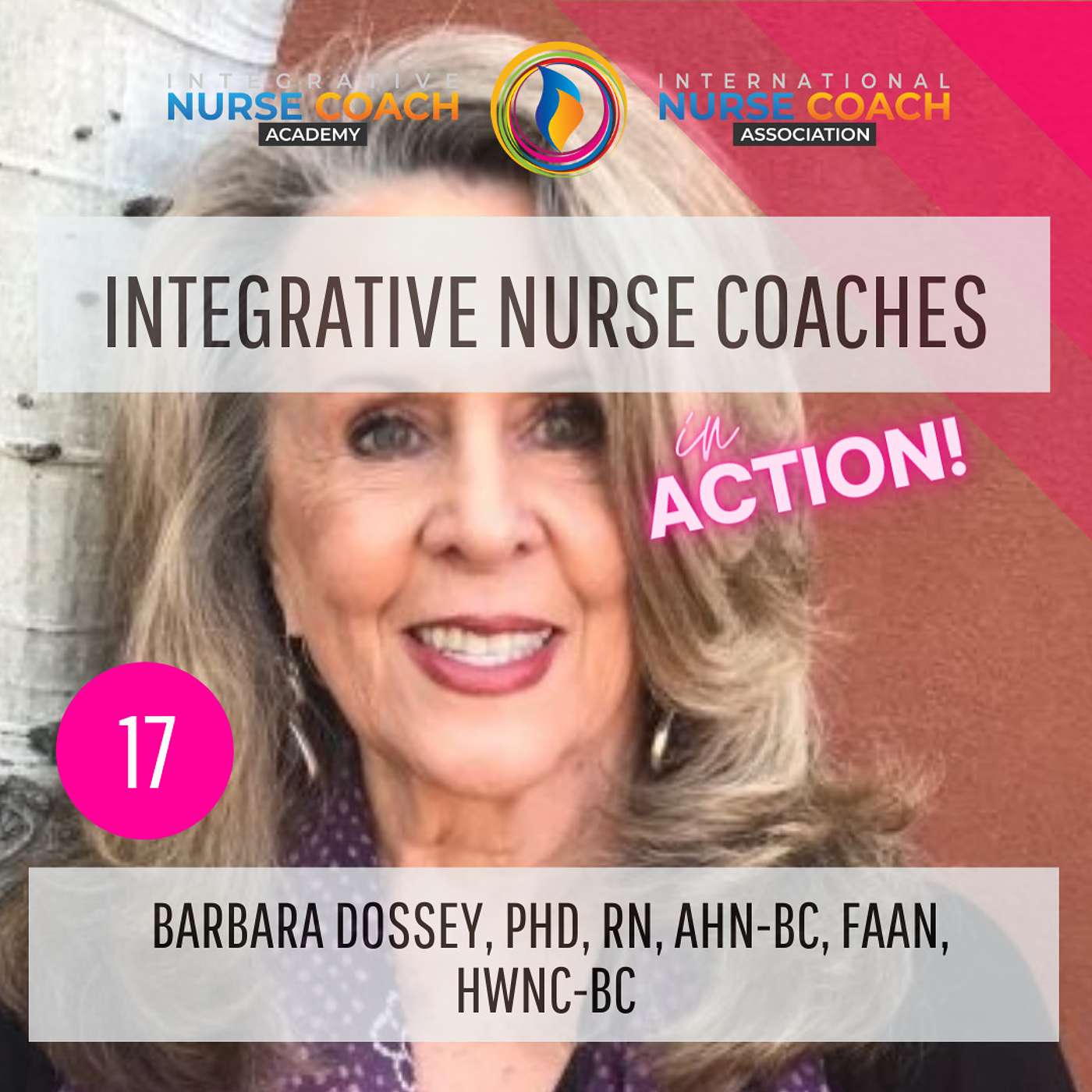 Ep 17: Find Your Nursing Soulmate- Barbara Dossey, PhD, RN, AHN-BC, FAAN, HWNC-BC episode artwork