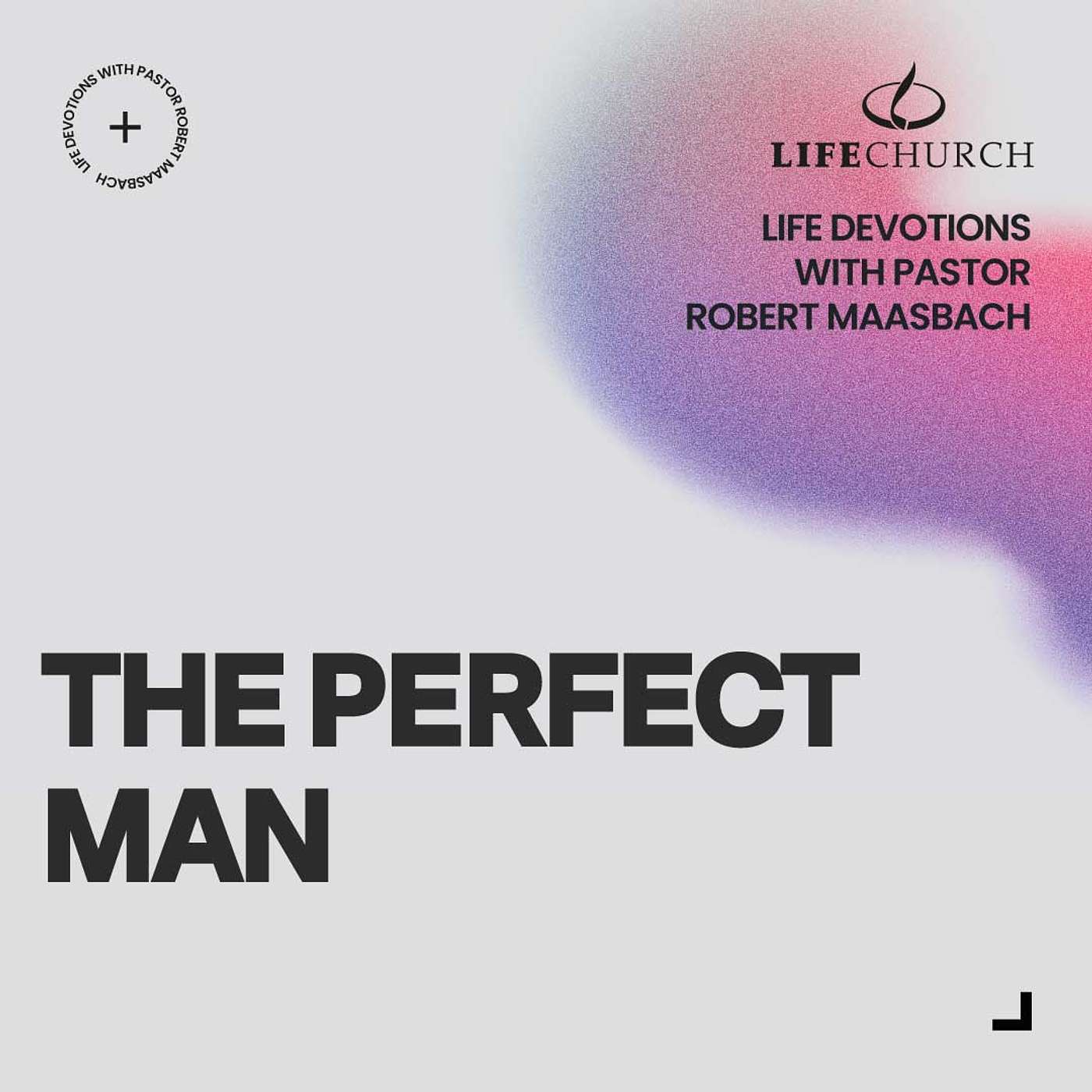 The Perfect Man - 15.3.25