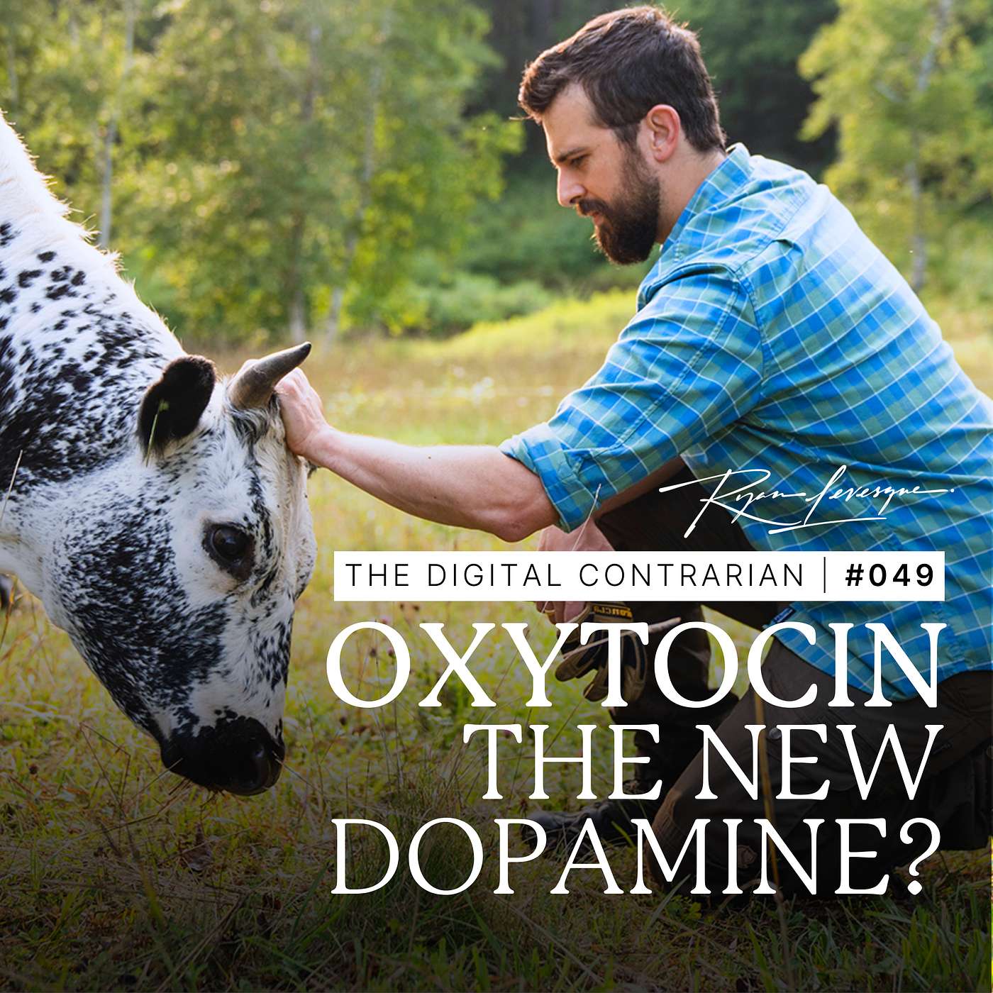 The Digital Contrarian