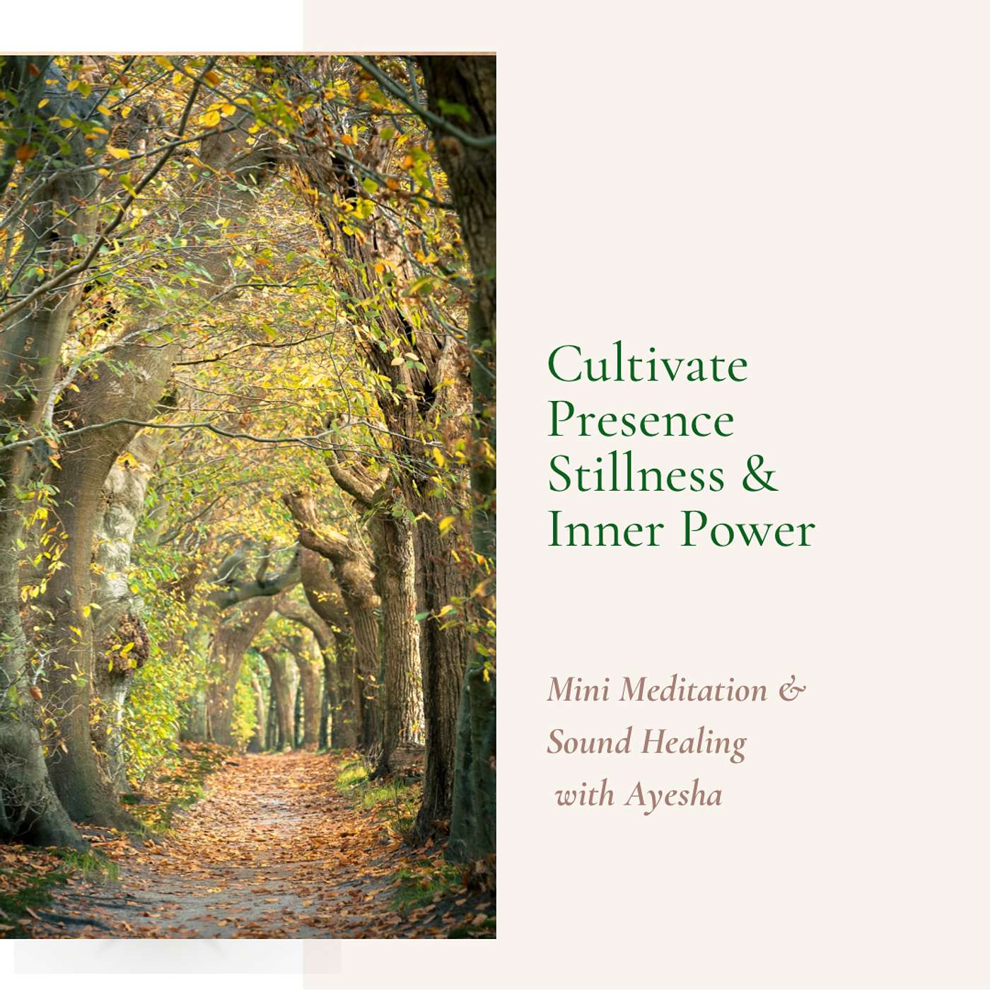 Cultivate Presence. Stillness & Inner Power