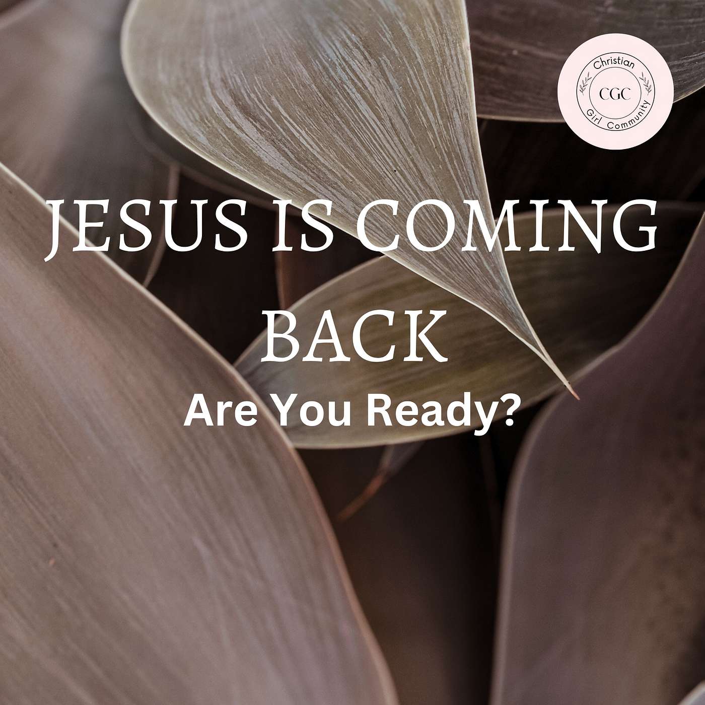 Jesus Is Coming Back ( Are You Ready?) episode artwork