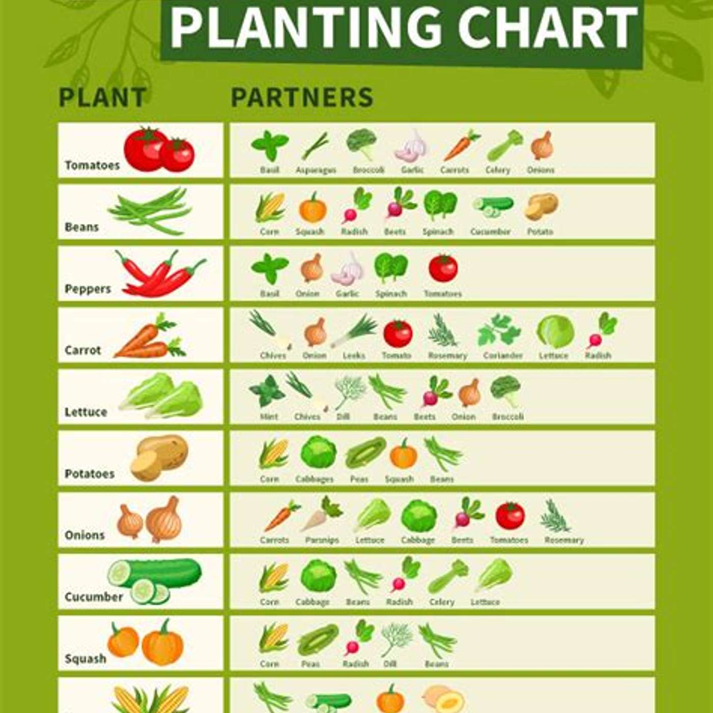 Companion planting episode artwork