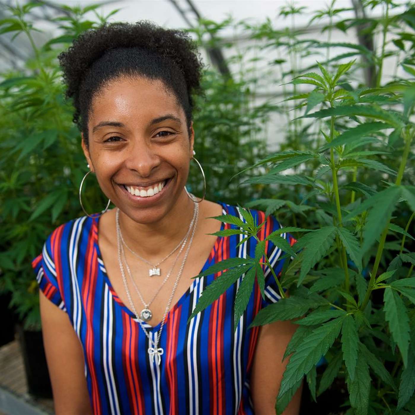 Cannabis Voices