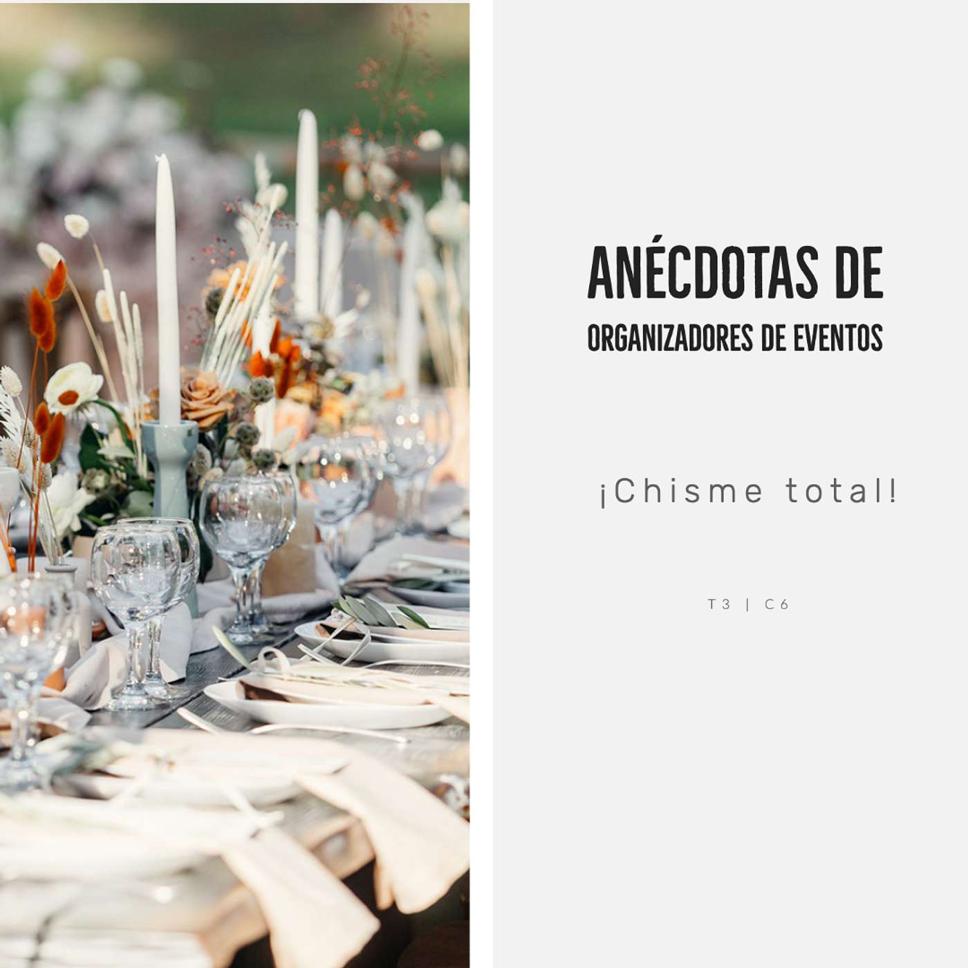 Anécdotas de organizadores de eventos | Ambiente Mexicano