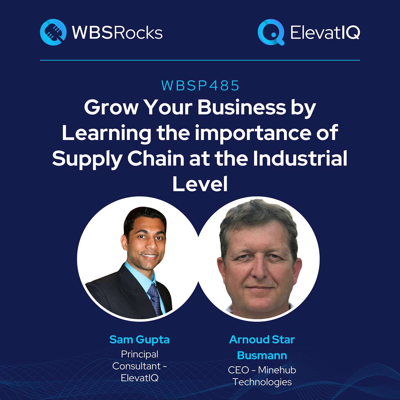 WBSP485: Grow Your Business by Learning the importance of Supply Chain at the Industrial Level w/ Arnoud Star Busmann