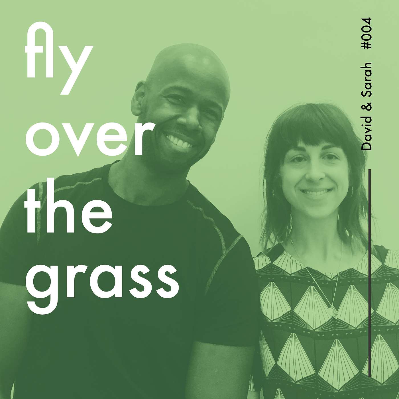 Fly Over The Grass