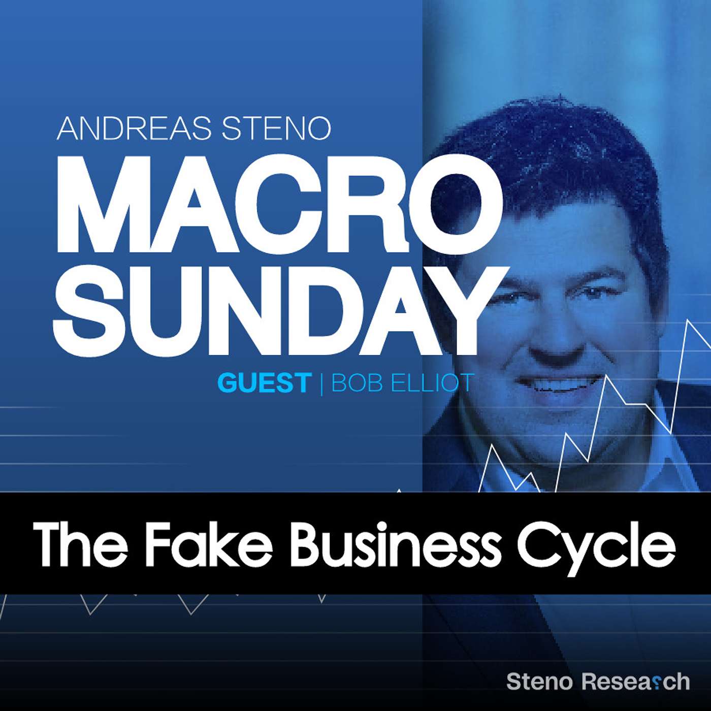 Macro Sunday #44 - The fake business cycle - Guest: Bob Elliot