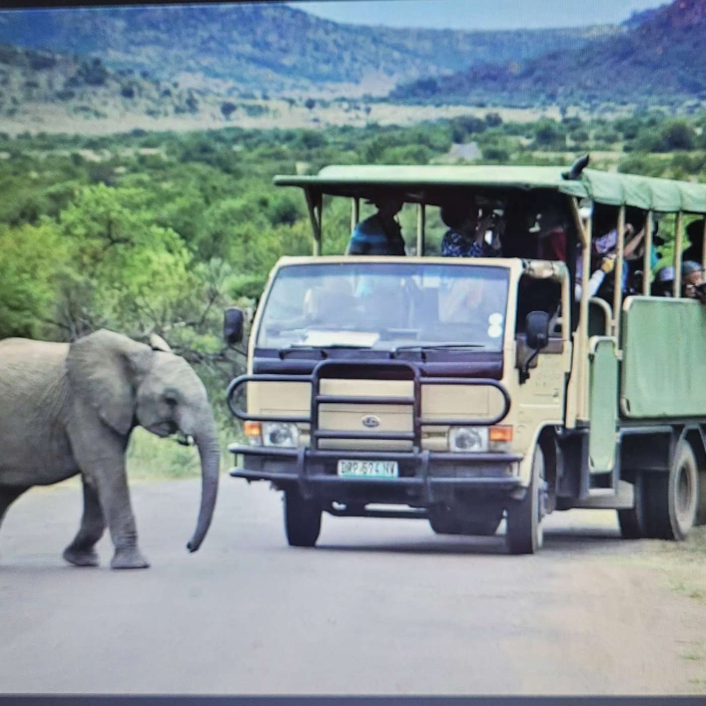Pilanesberg, South Africa