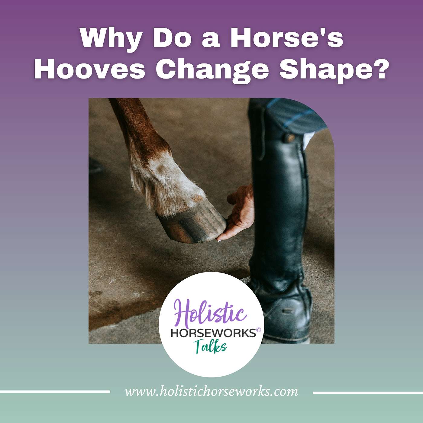 Holistic Horseworks Talks with April Love