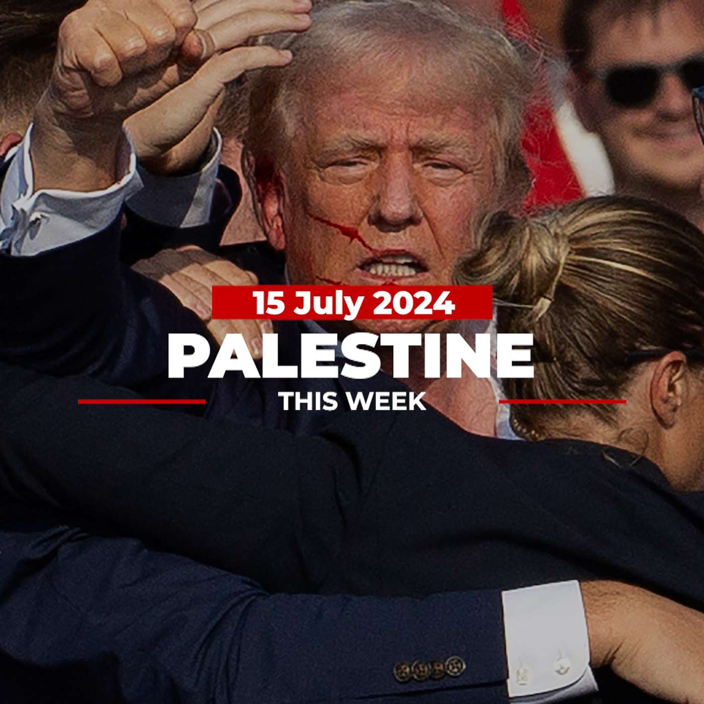 Palestine This Week
