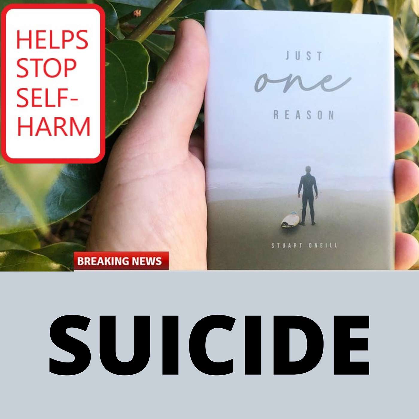 Ep. 28 Just One Reason (to stop suicide)