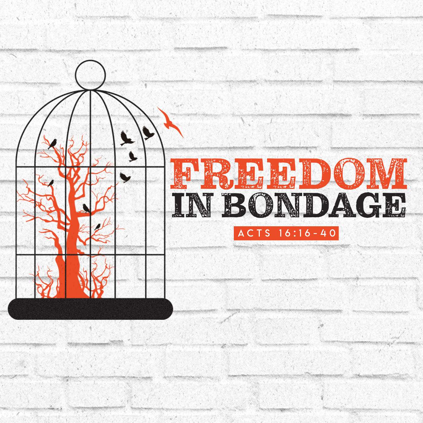 Freedom In Bondage