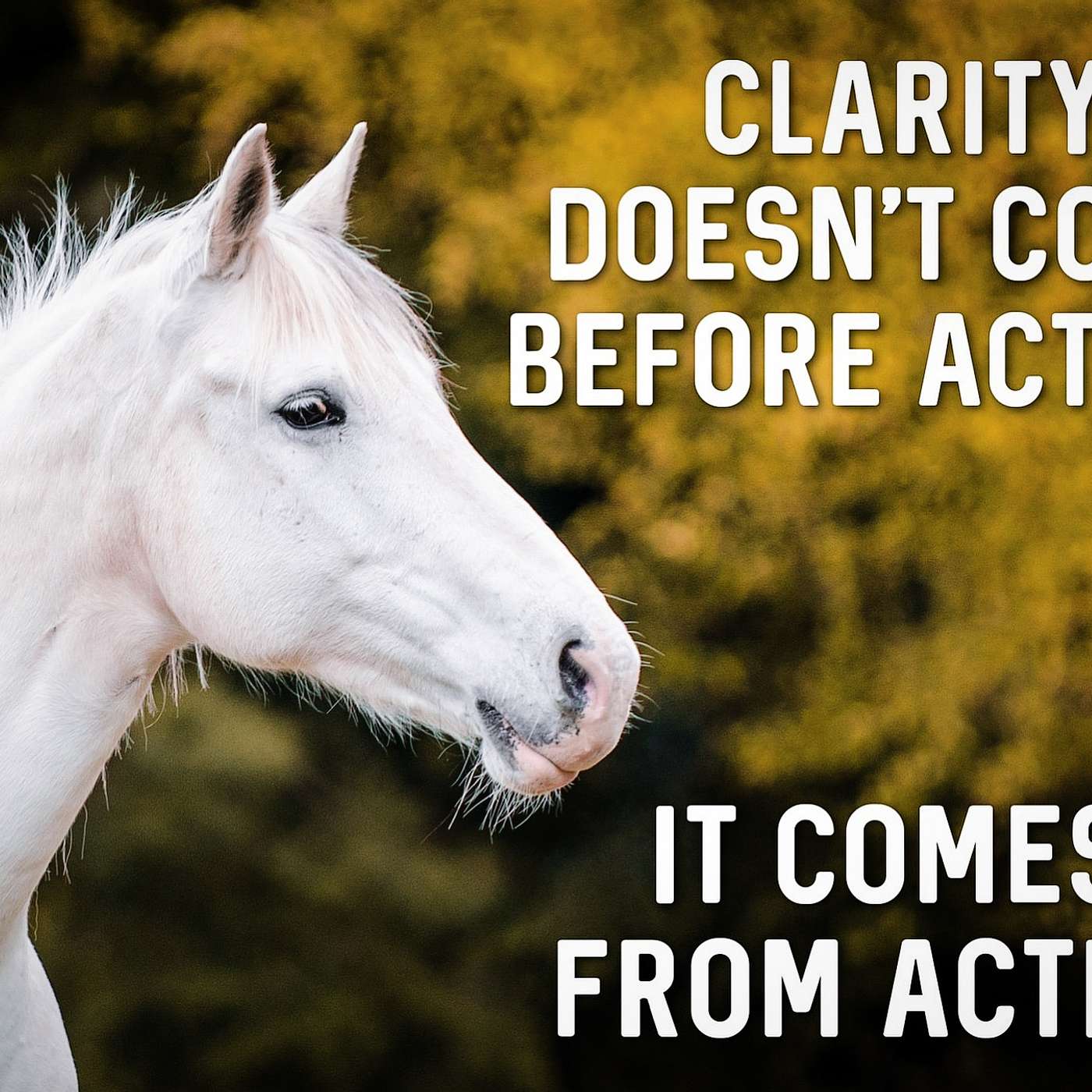 Clarity