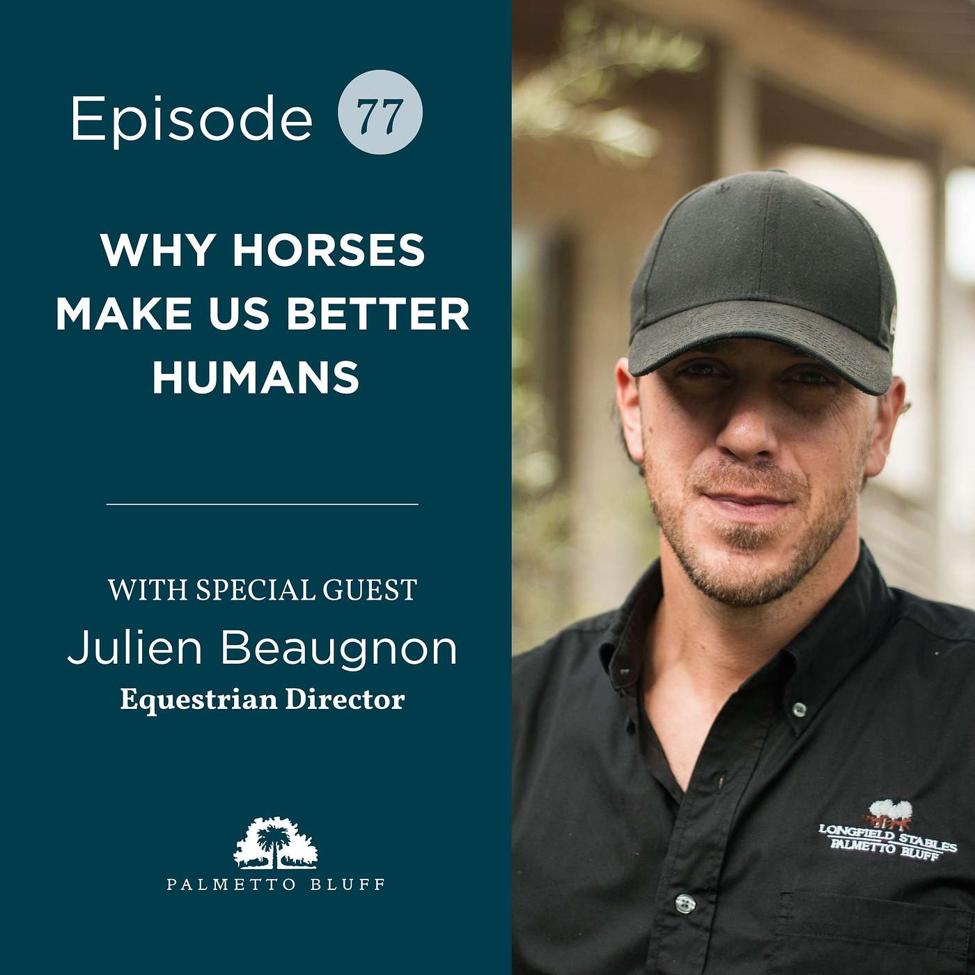 Why Horses Make Us Better Humans | Julien Beaugnon Why Horses Make Us Better Humans | Julien Beaugnon