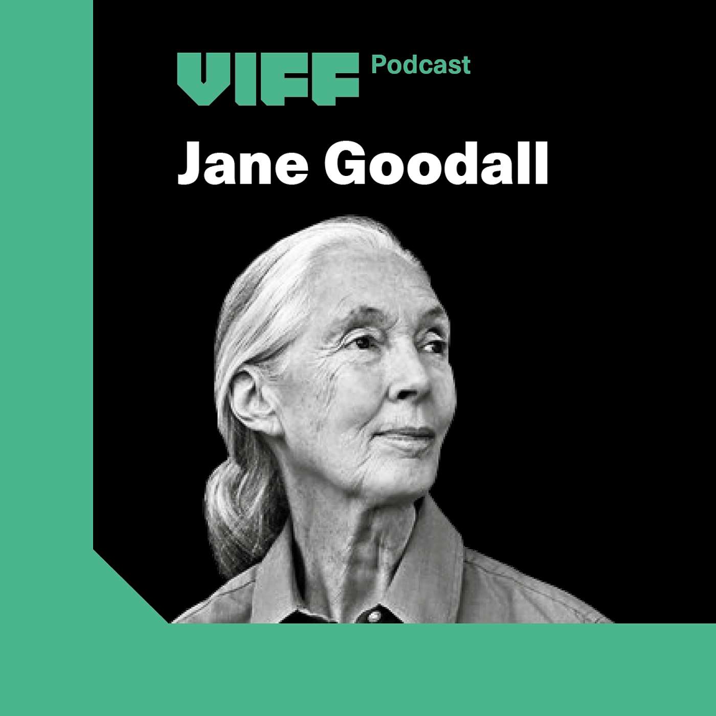 VIFF Podcast
