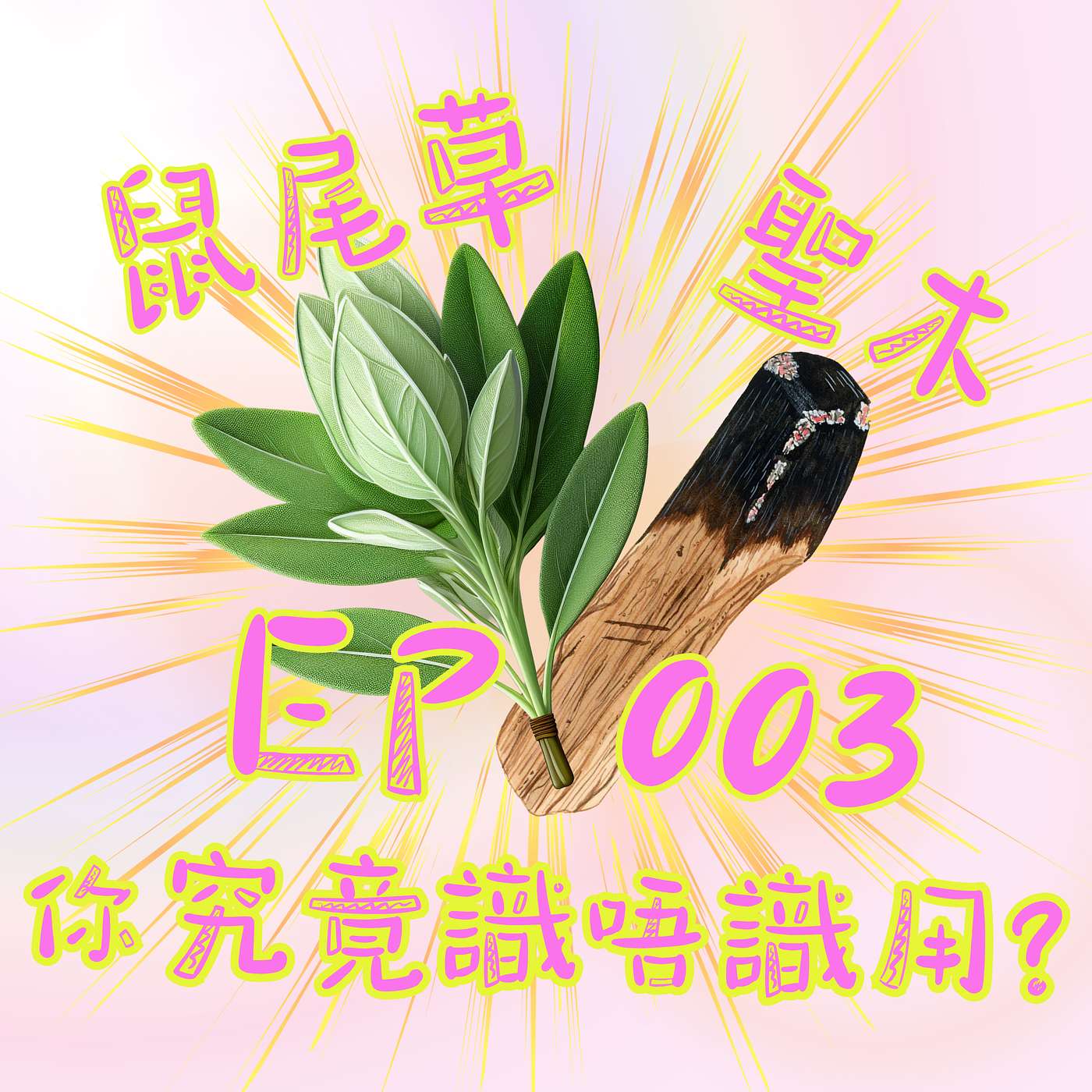 【靈靈柒系列】EP 003 鼠尾草同聖木,你究竟識唔識用? 【靈靈柒系列】EP 003 鼠尾草同聖木,你究竟識唔識用?
