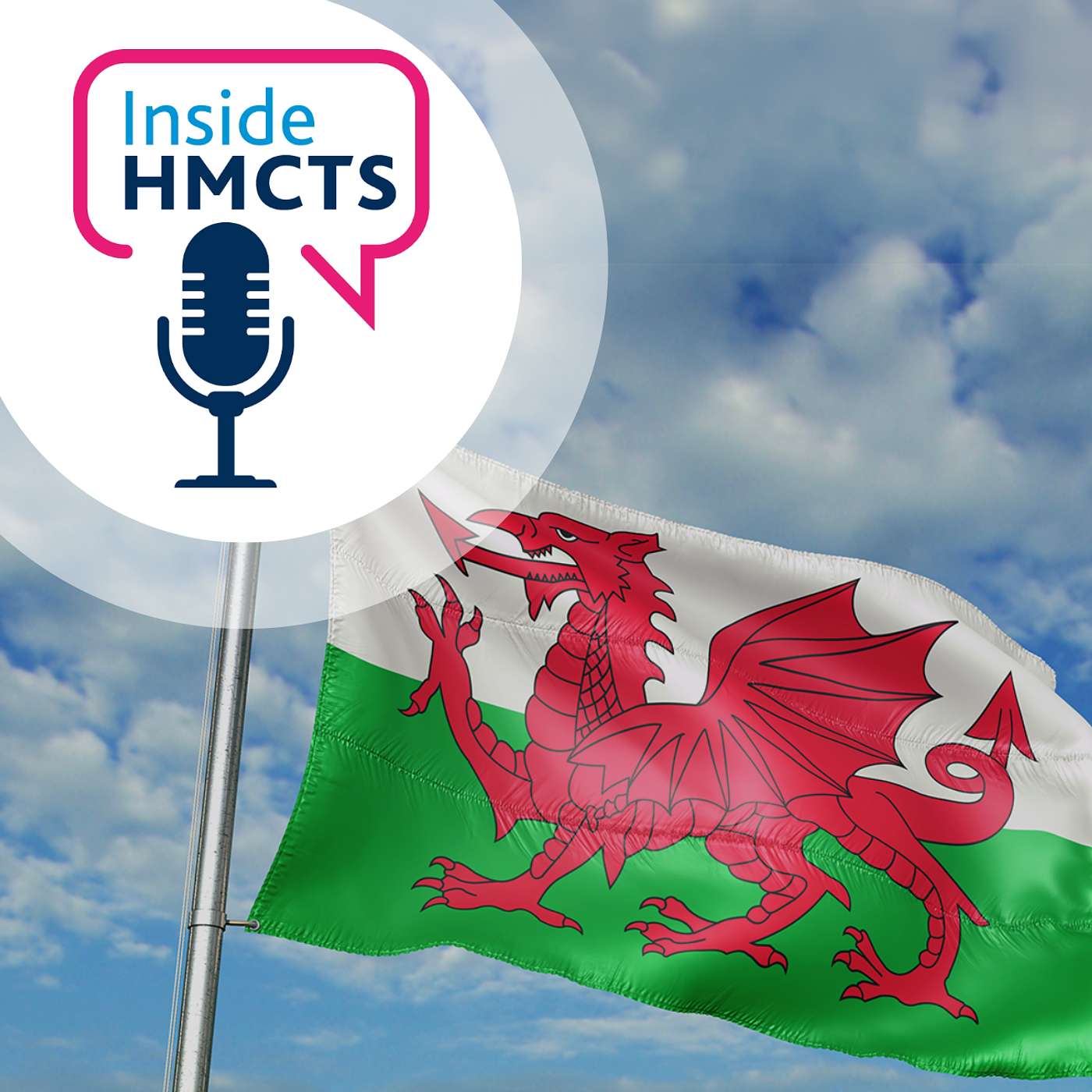 Welsh Language Services: here when you need us Welsh Language Services: here when you need us