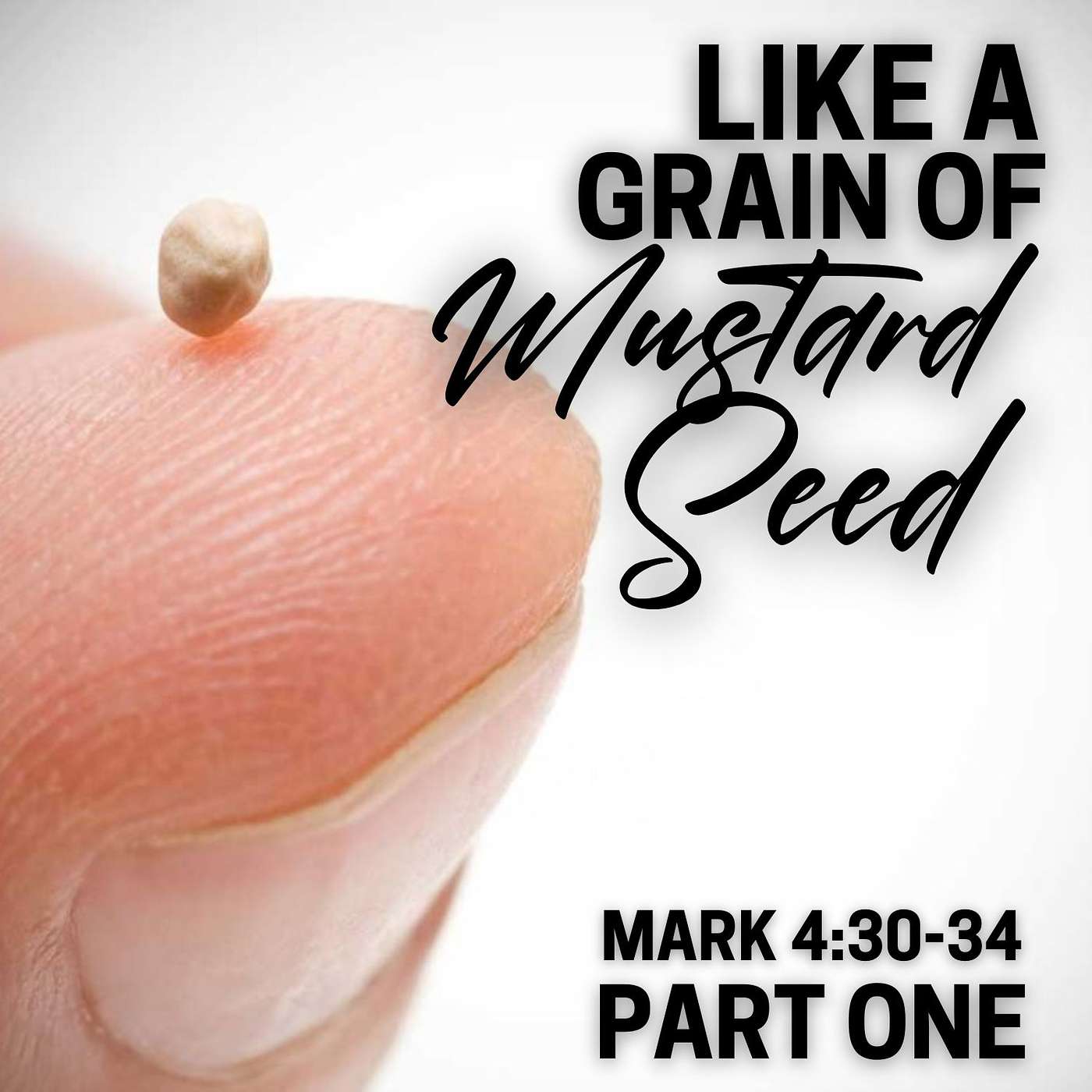 It Is Like a Grain of Mustard Seed, Part 1; Mark 4:30-34