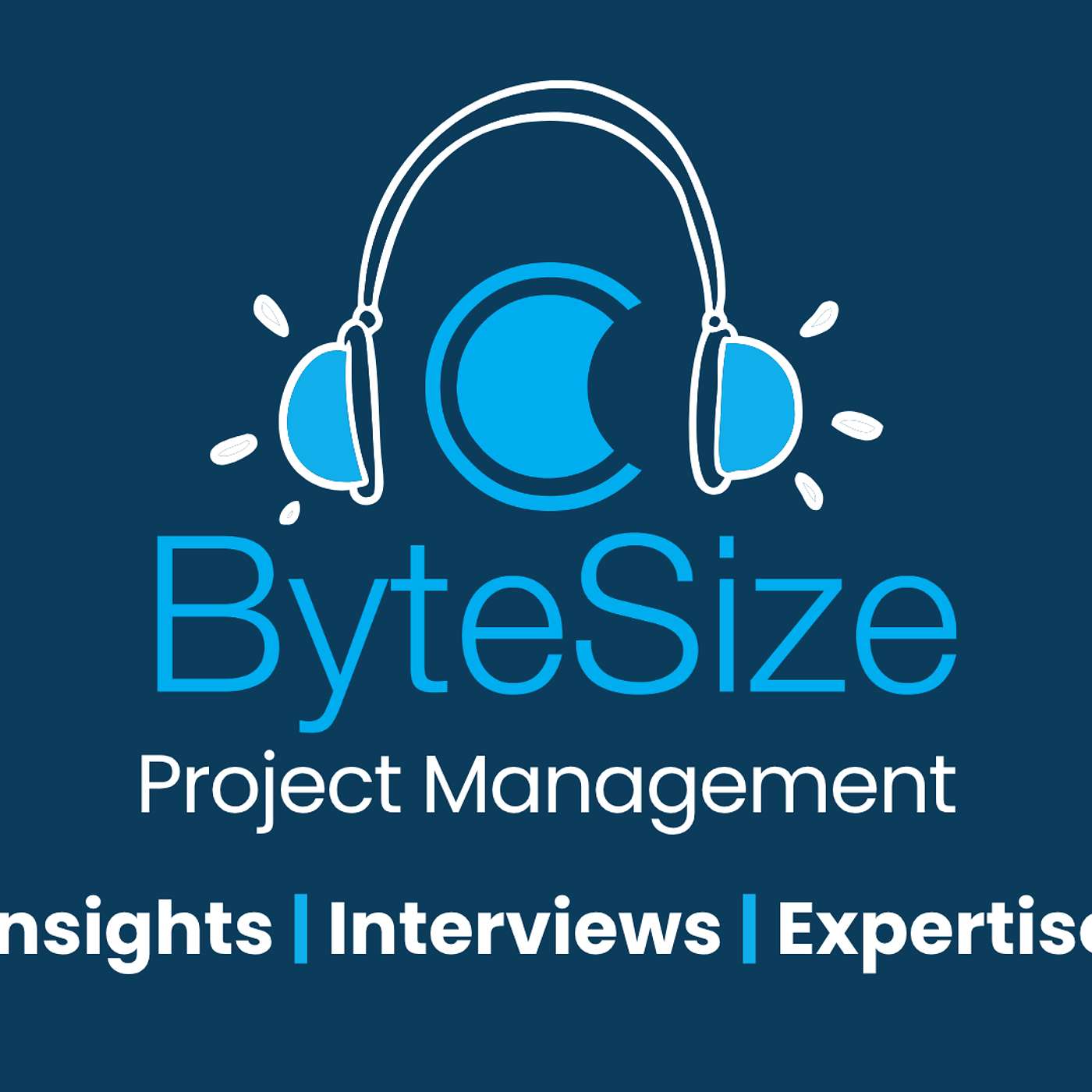 Podcast Image
