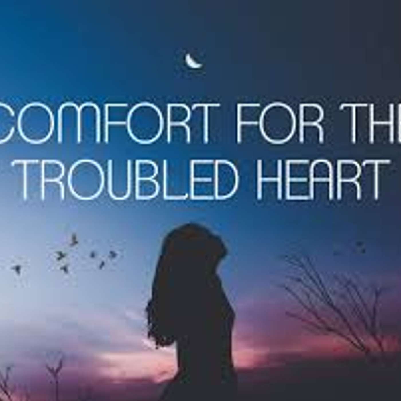 Isaiah's Comfort