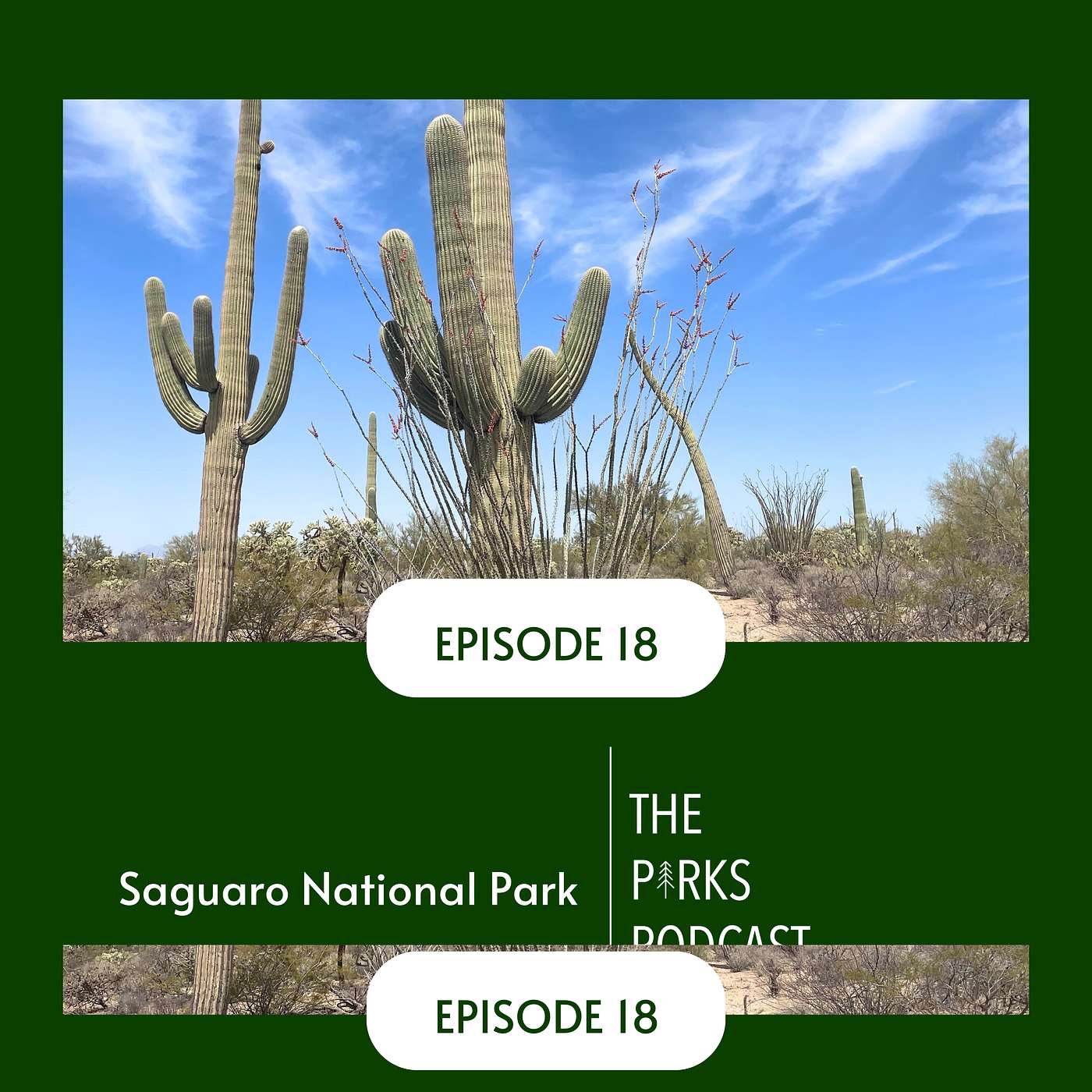 The Parks Podcast