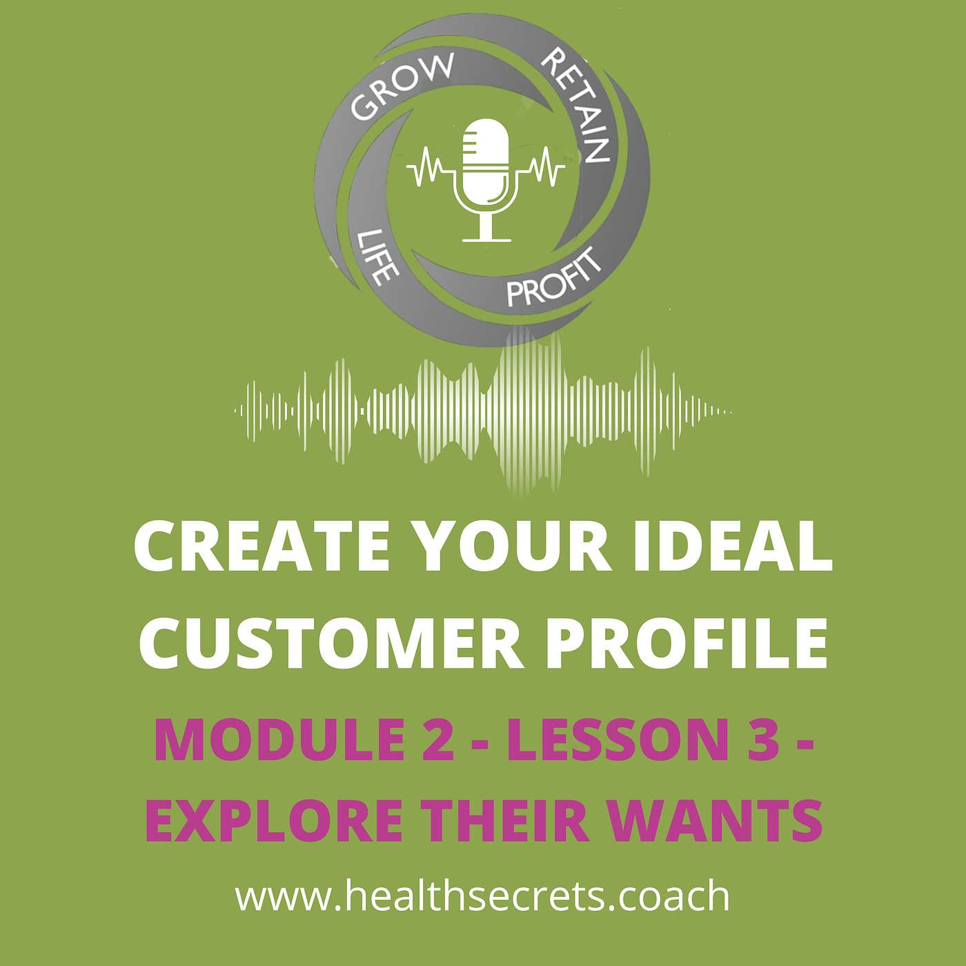 8. Create Your Ideal Patient Profile - Module 2 Lesson 3 - Explore Their Wants