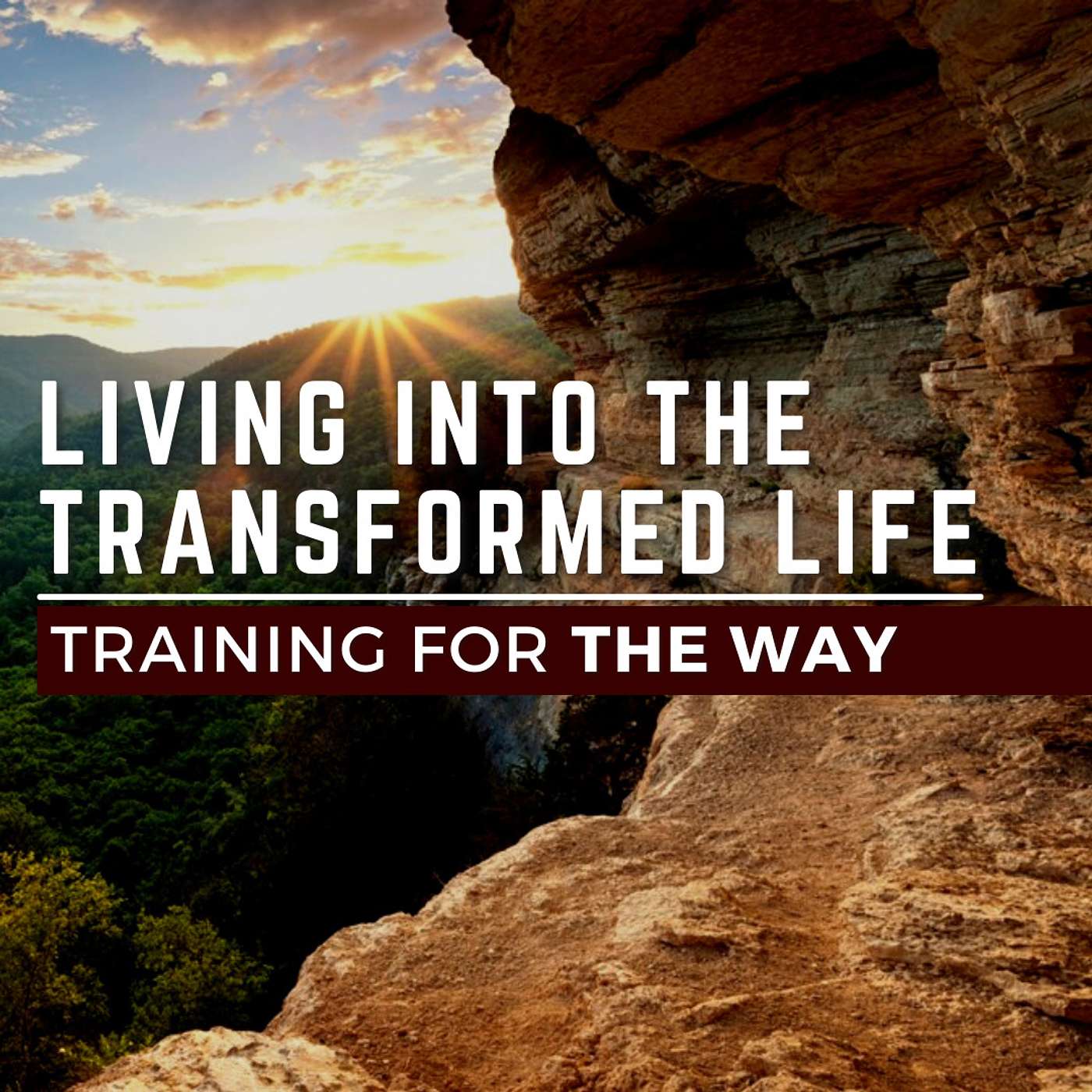 Training for THE WAY