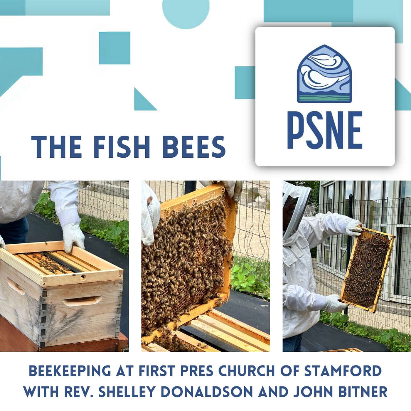 The Fish Bees: Beekeeping at First Pres Church of Stamford with Rev. Shelley Donaldson and John Bitner