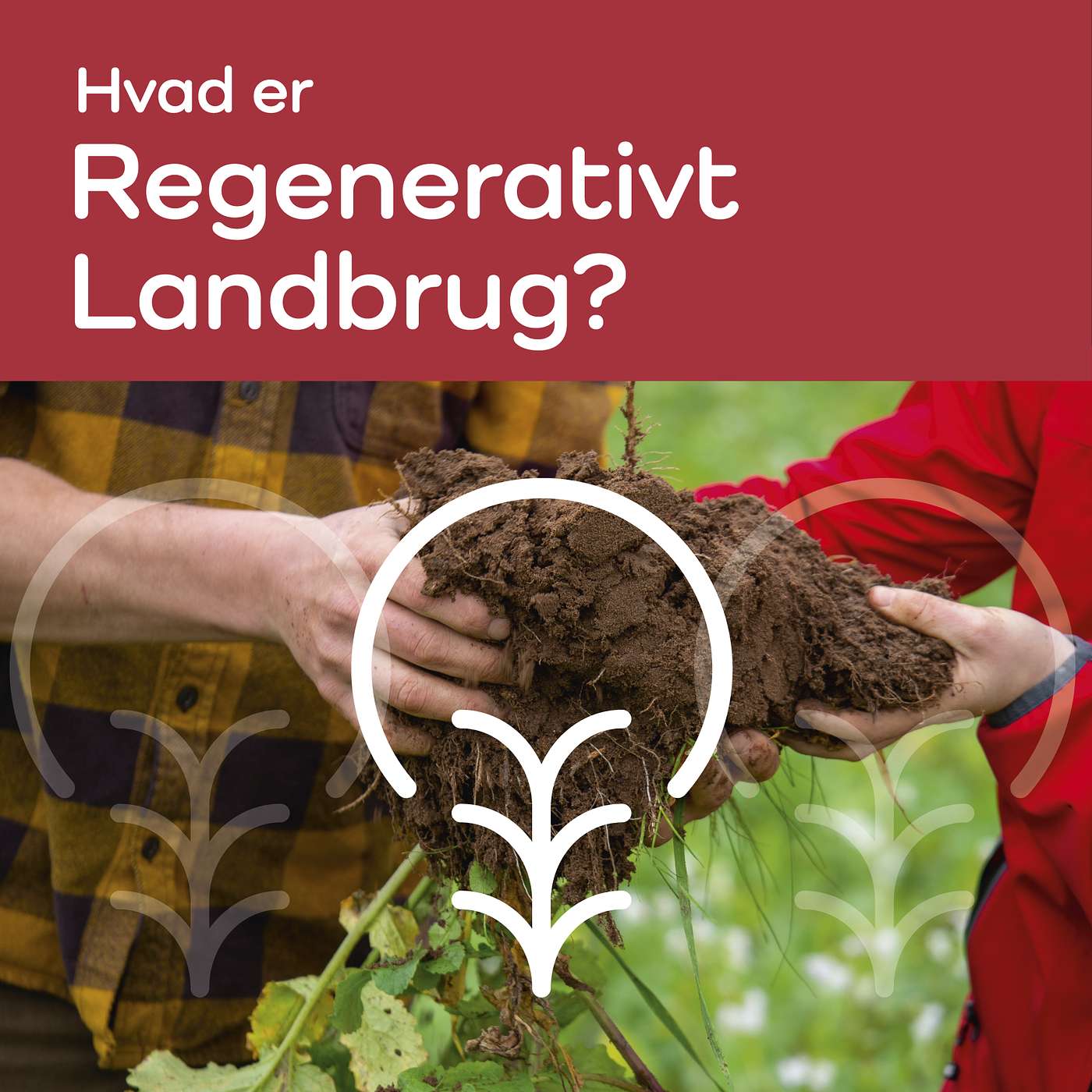 ØKO-LYD - Hvad er regenerativt landbrug? Holistisk management 6:6