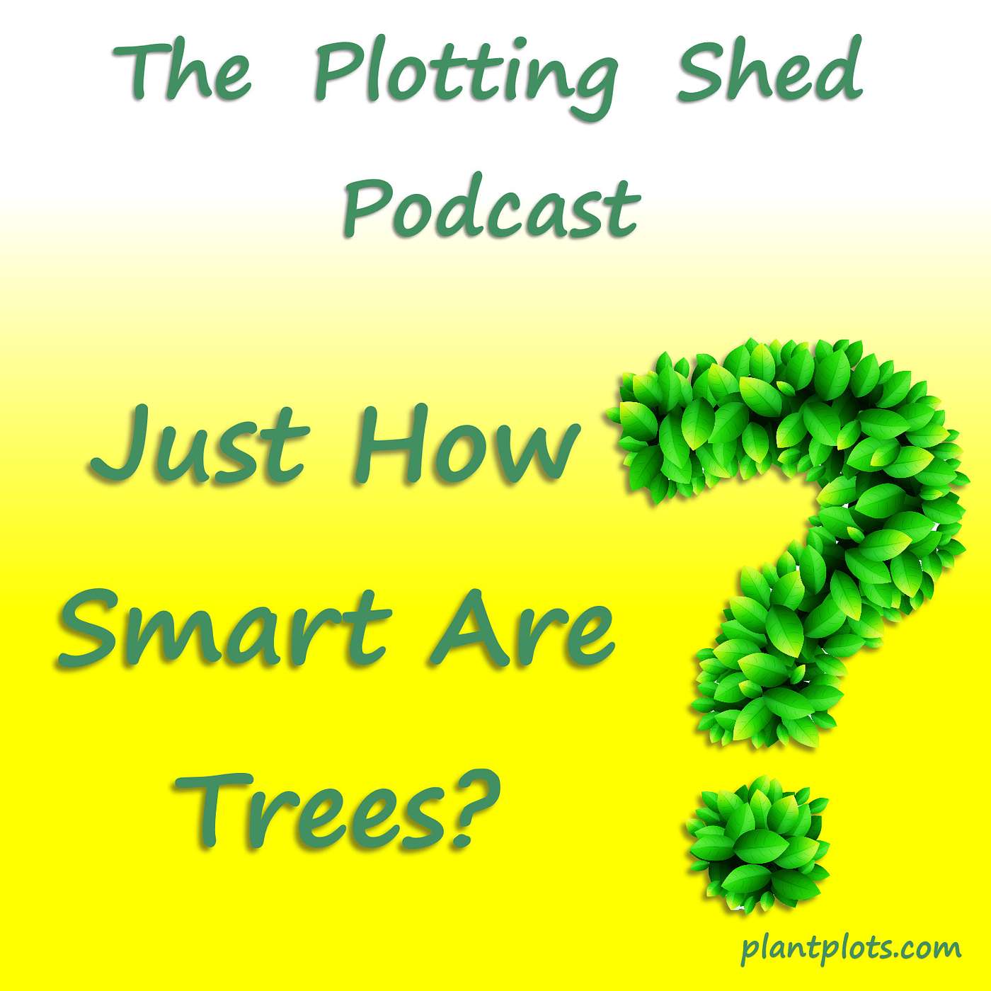 Trees, just how smart are they?
