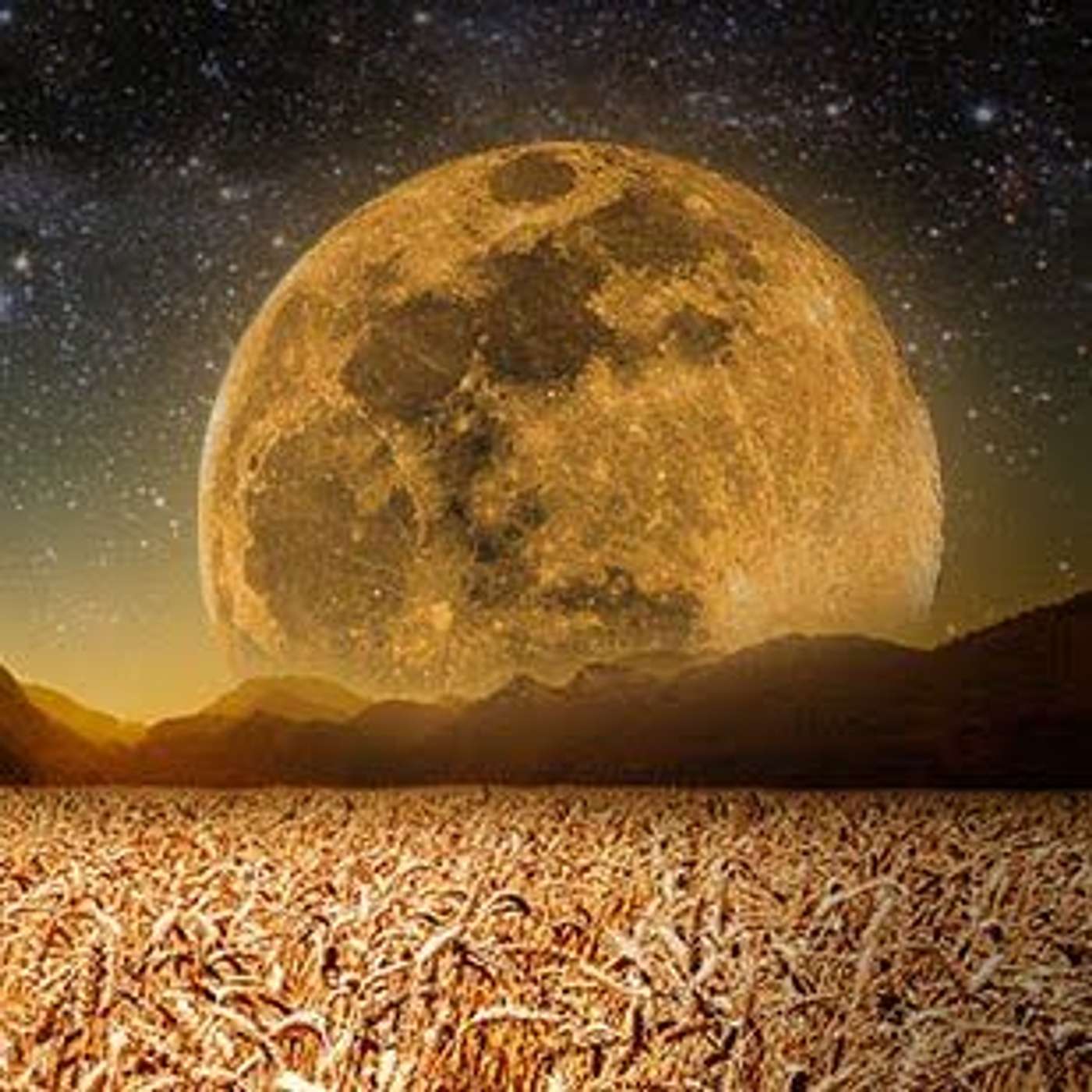 Rise UP with the Earth Energy & Harvest MOON {Day 9: Inspiration, Serendipity...LISTEN}