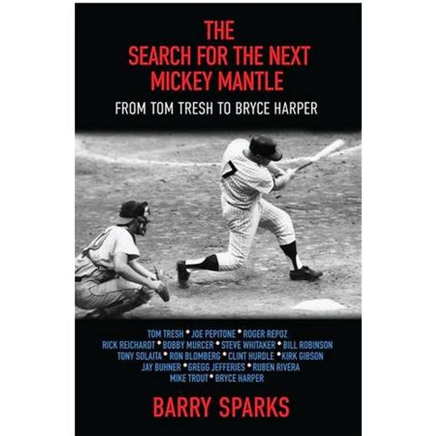 BookSpeak Network