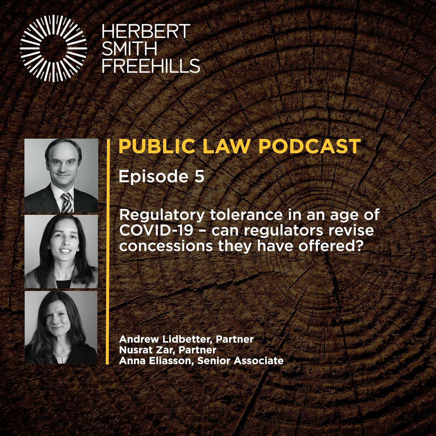 Public Law Pocast EP5: Pressure Points: Regulatory tolerance in an age of COVID-19 ... episode artwork