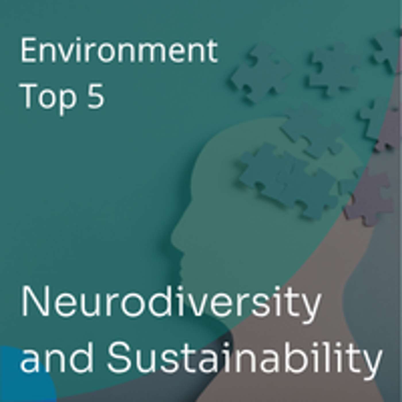 Neurodiversity in Sustainability: Skills, Belonging and Professional Growth