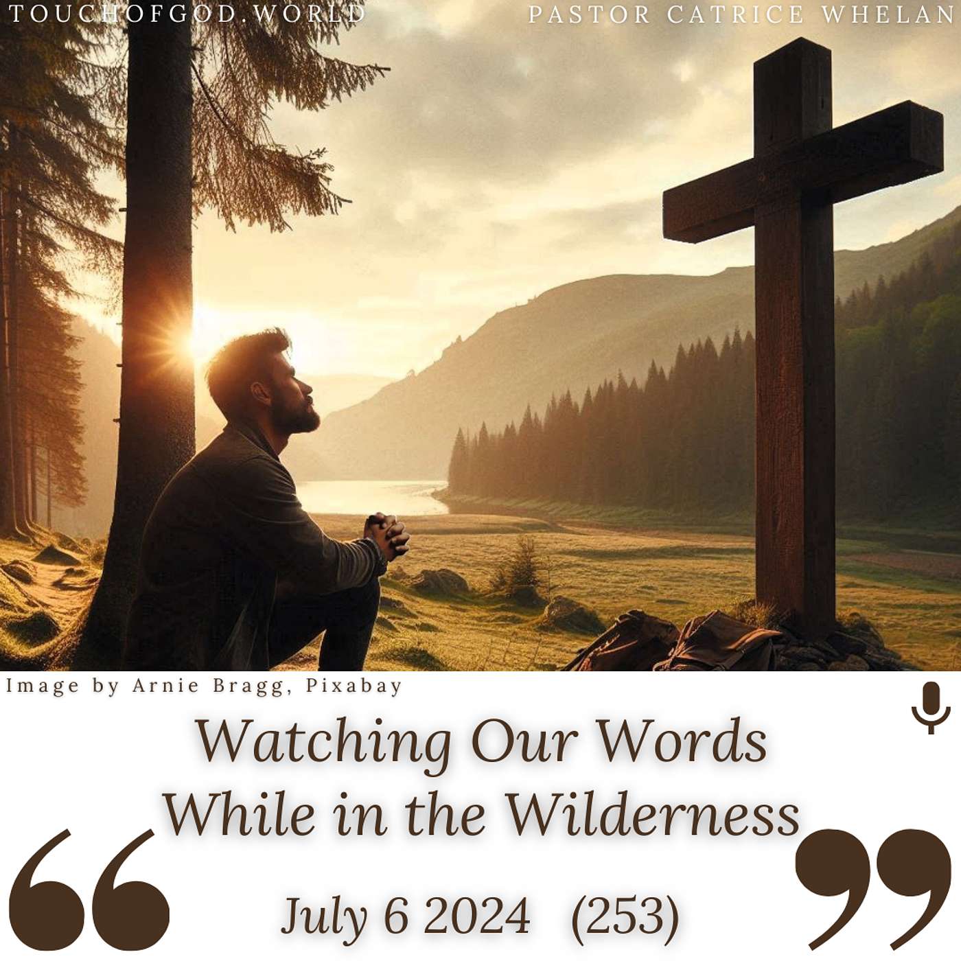 Watching Our Words While in the Wilderness (253) - July 6 2024 episode artwork
