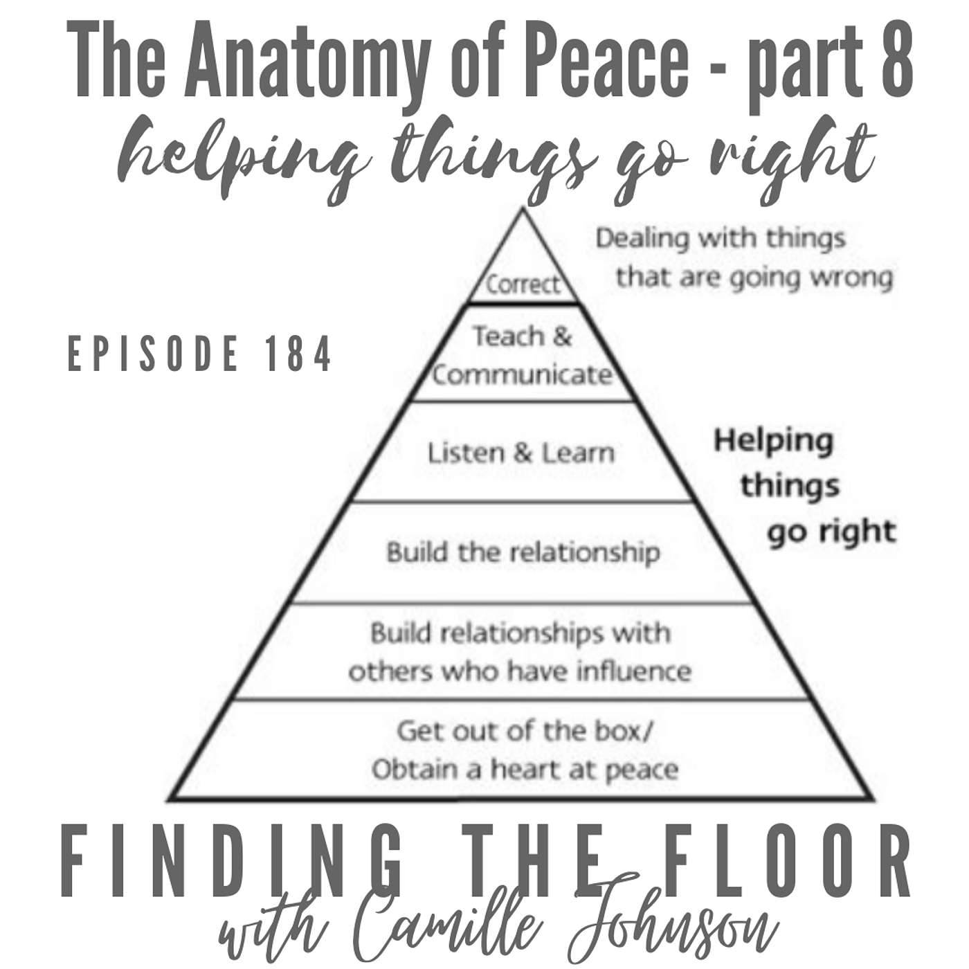 Ep. 184 - The Anatomy of Peace - part 8 - helping things go right episode artwork