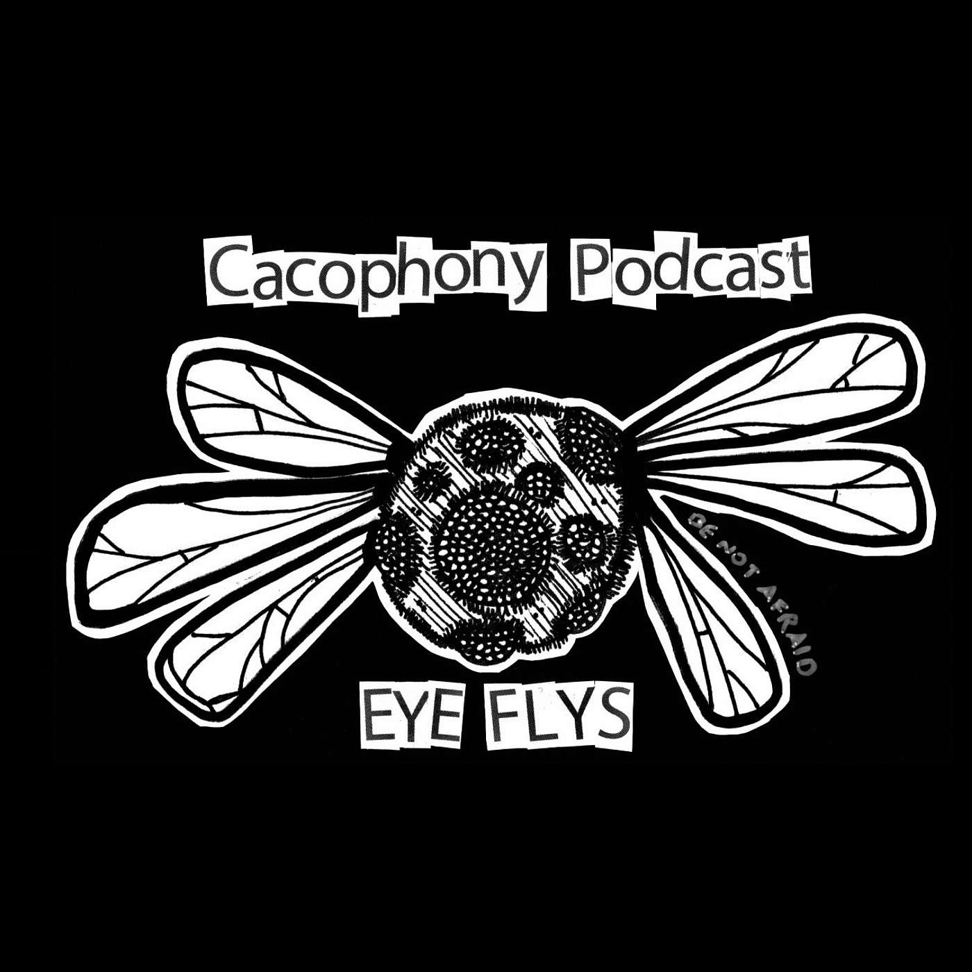 Ep. 12 - Eyeflys