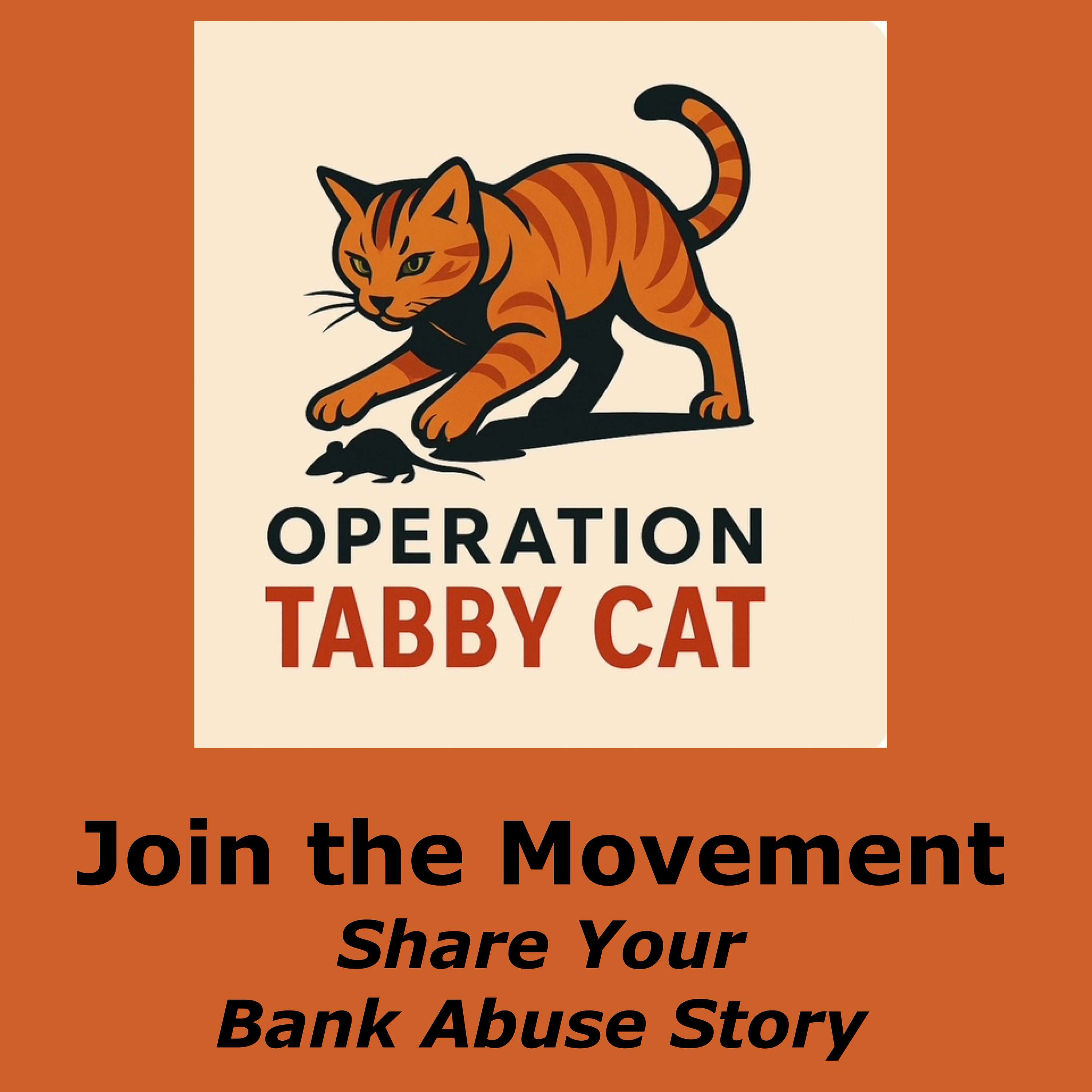 Operation Tabby Cat
