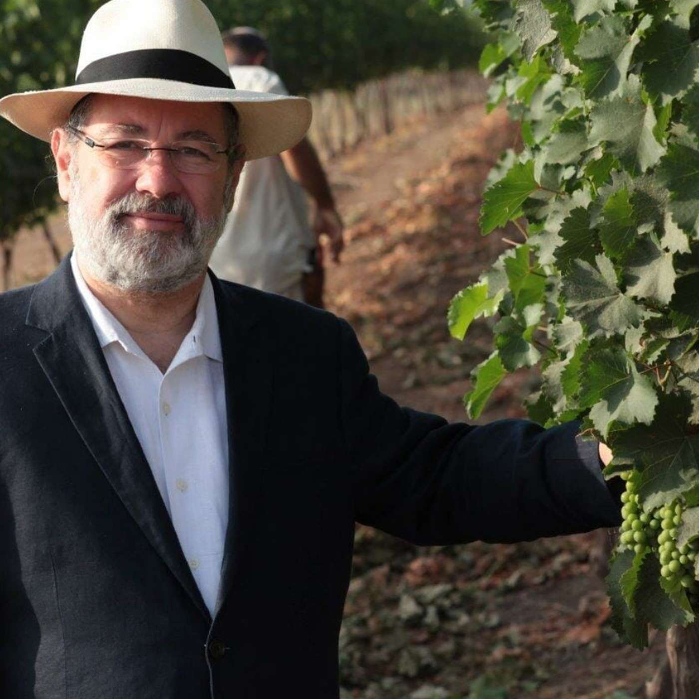 The Kosher Terroir