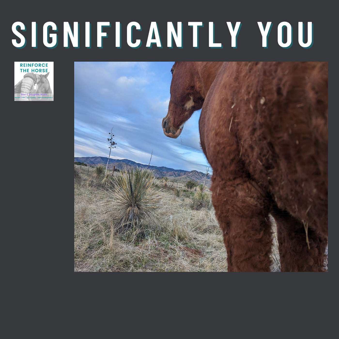 Reinforce the Horse