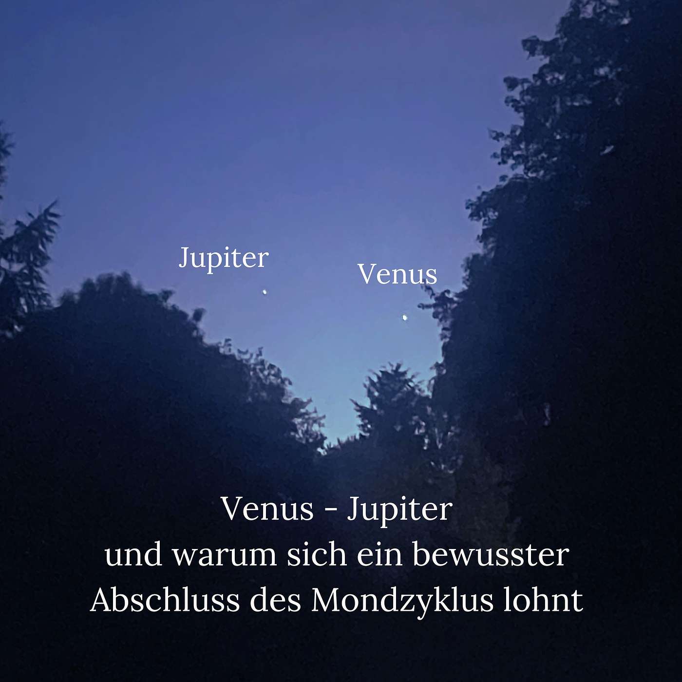 Venus - Jupiter und warum sich ein bewusster Abschluss des Mondzyklus lohnt episode artwork