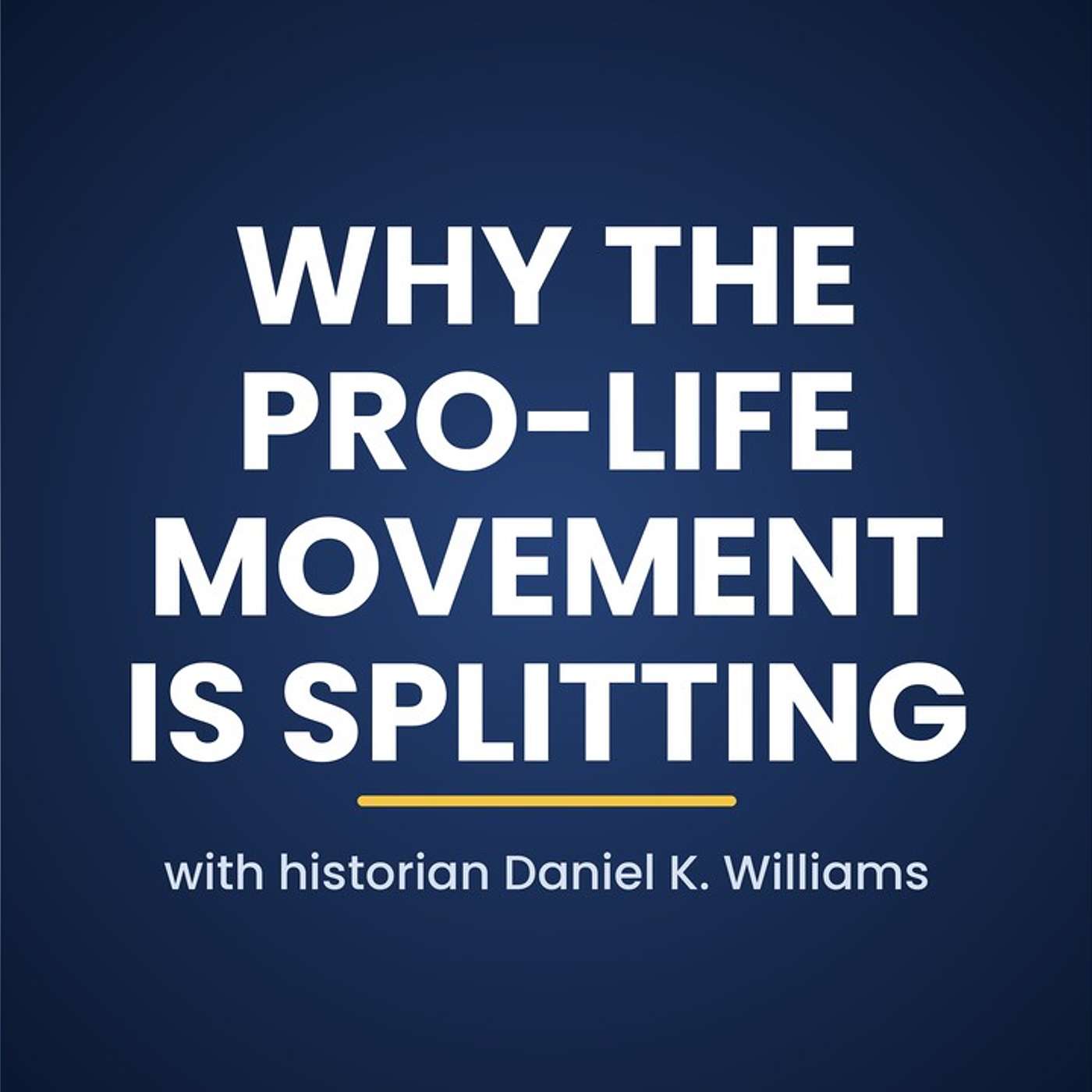 Ep. 232 - Why the Pro-Life Movement is Splitting episode artwork