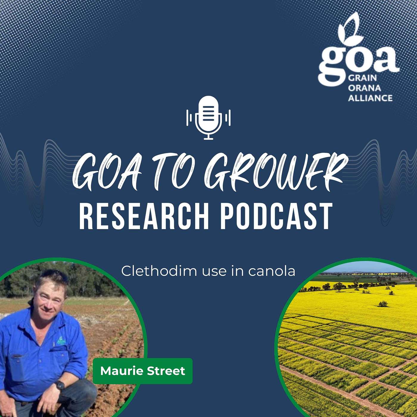 Clethodim in canola: how to get the timing right. episode artwork