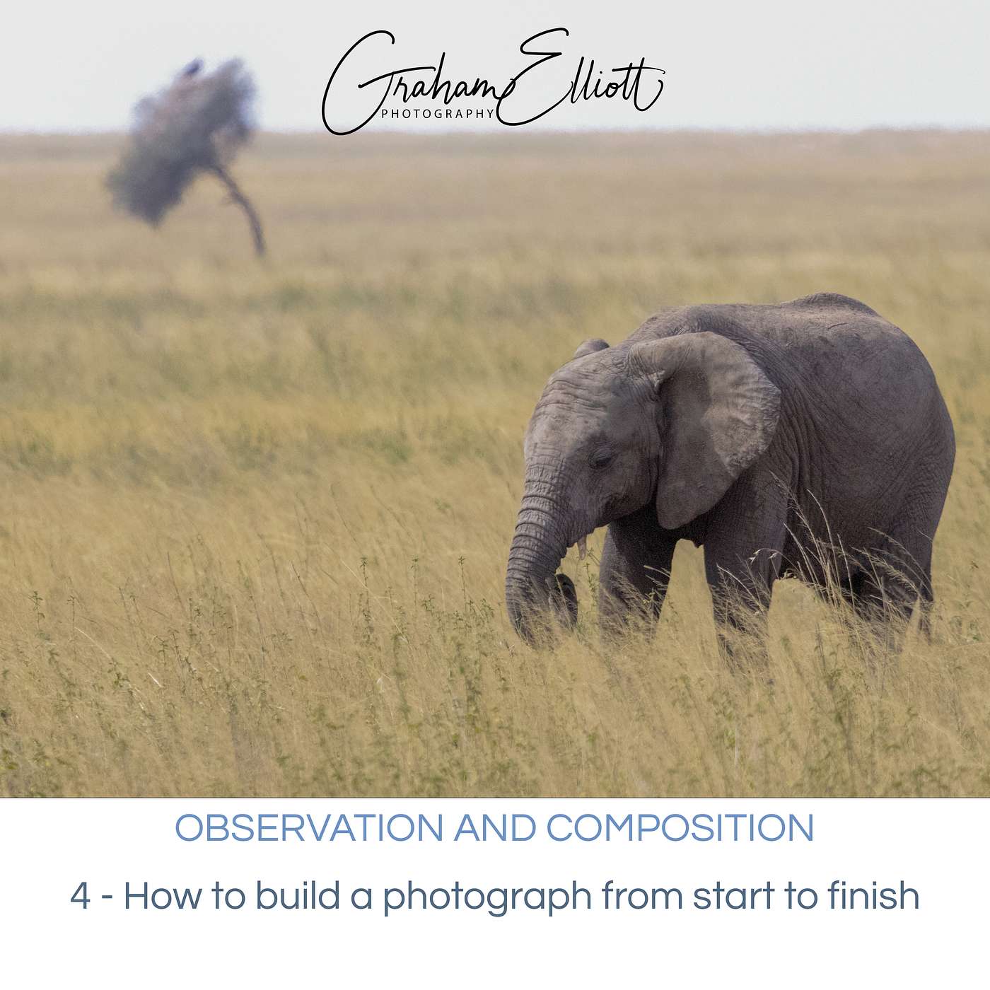 Observation and Composition Ep 4: How to build a photograph from start to finish