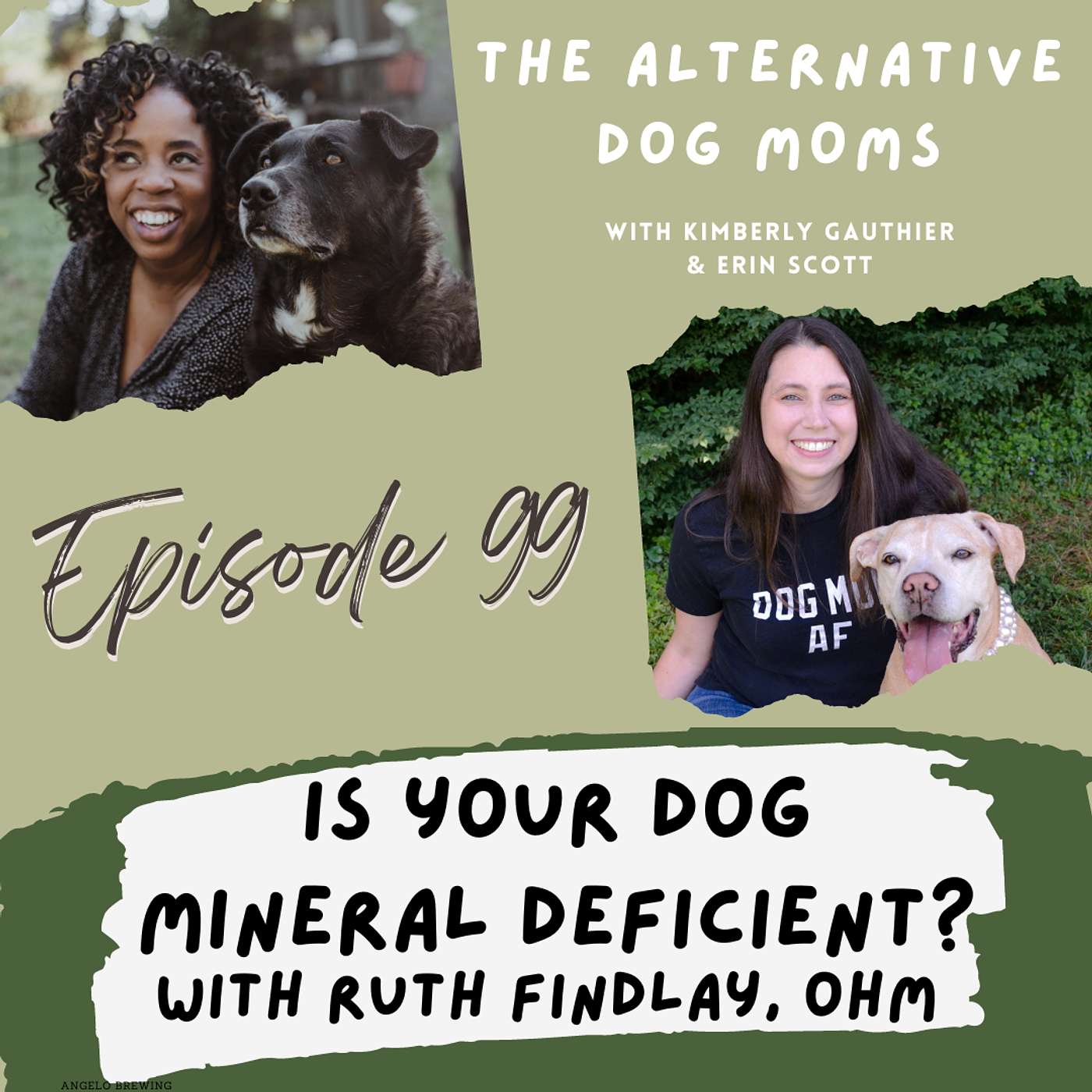 Is Your Dog Mineral Deficient? Learn How OHM Products Can Help with Ruth Findlay