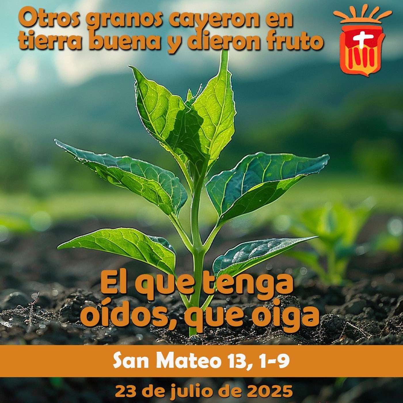 2025-07-23 San Mateo 13, 1-9: Miércoles XVI Ordininario