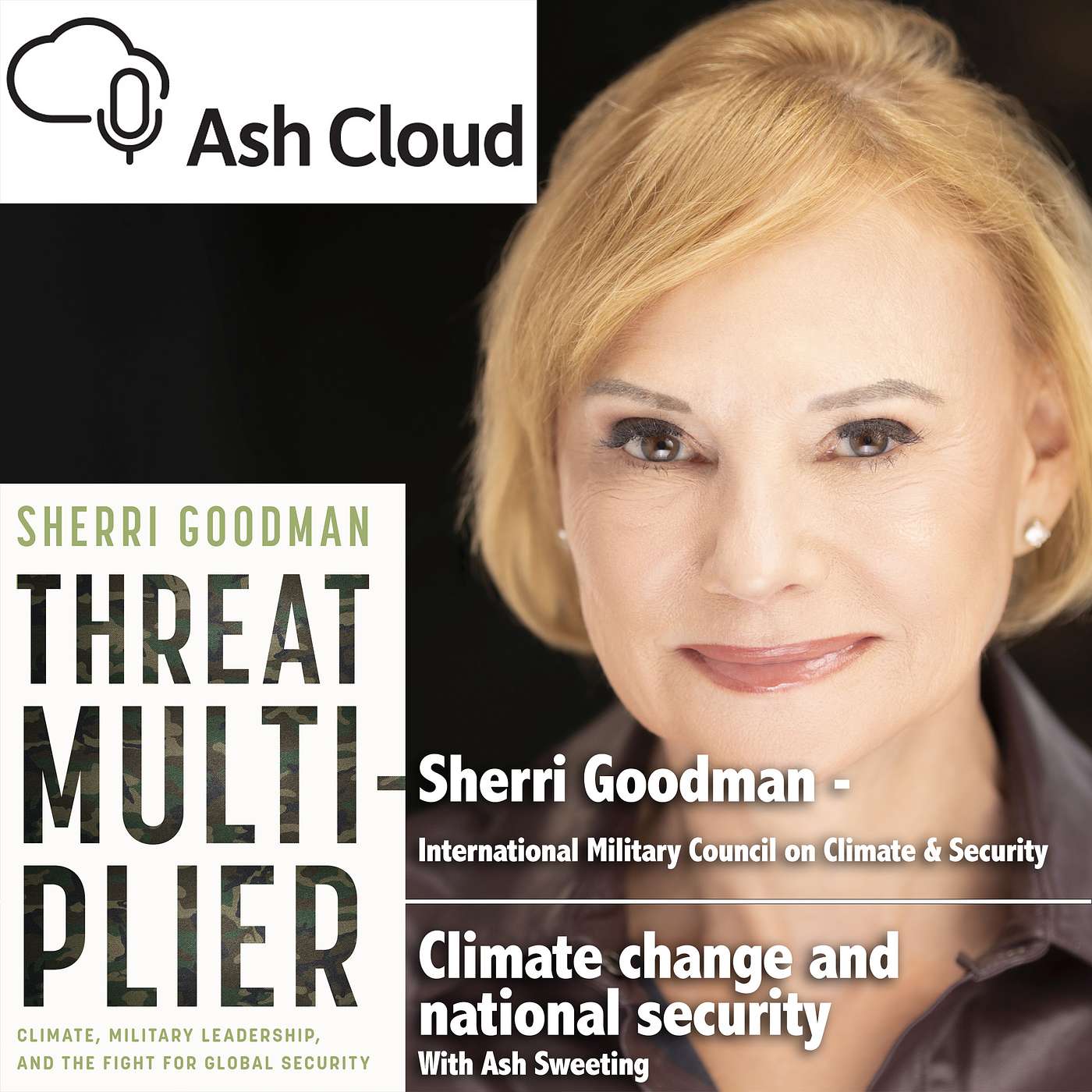 Climate change and national security with Sherri Goodman - International Military Council on Climate & Security