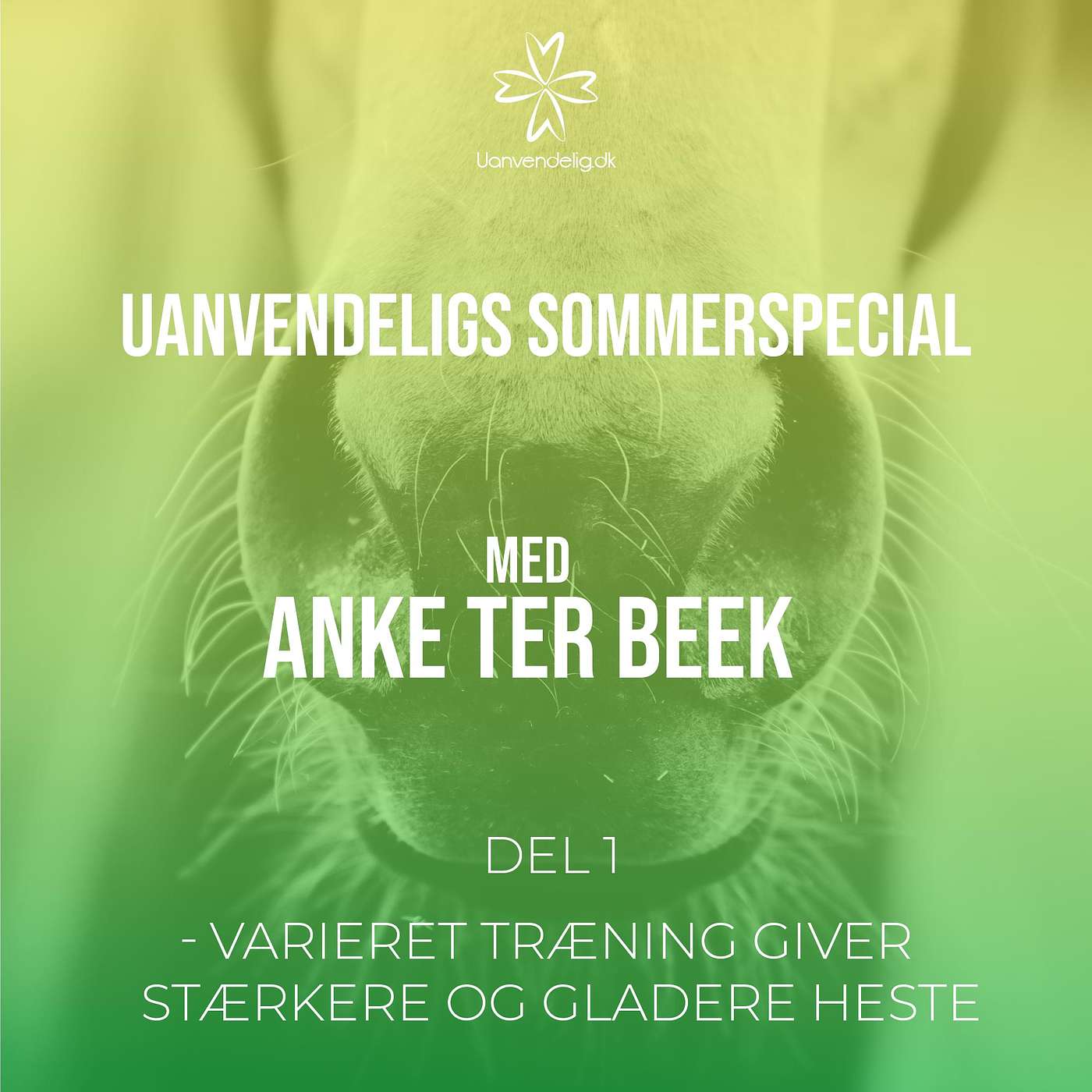 Sommerspecial med Anke Ter Beek - Variér din træning og styrk din hest - Del 1 episode artwork